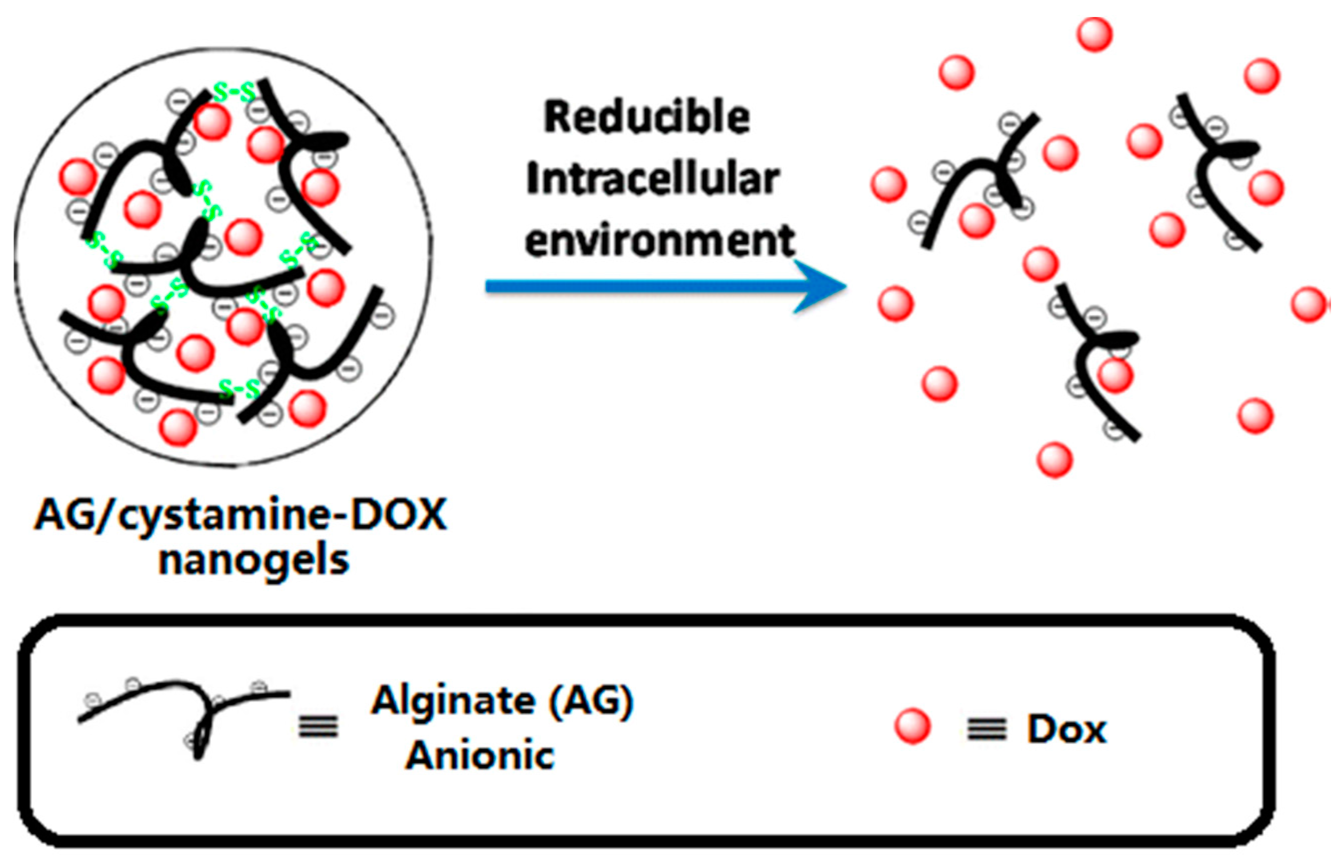 Molecules 21 01715 g004