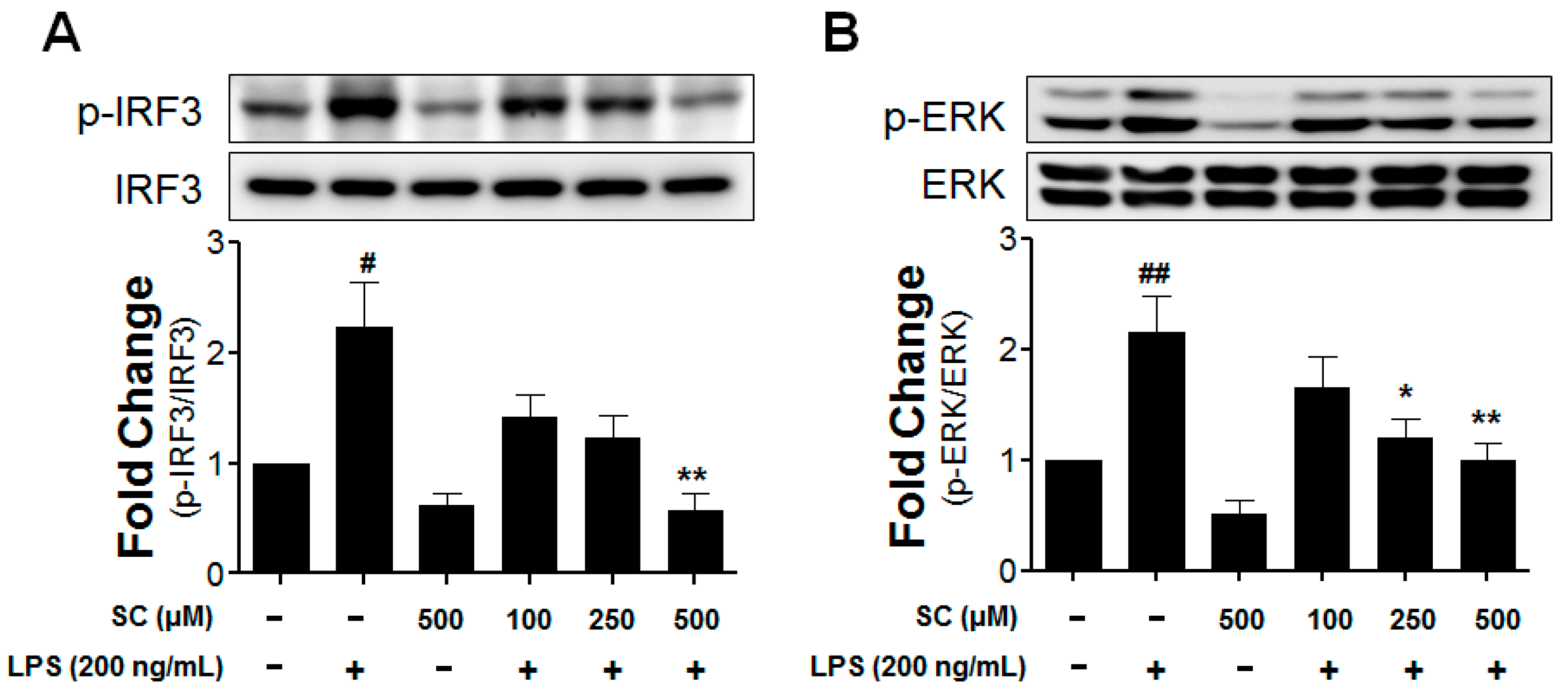 Molecules 21 01718 g005