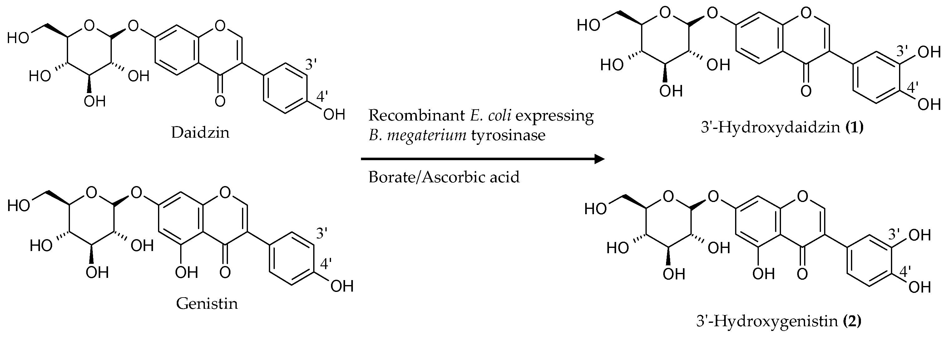 Molecules 21 01723 g003