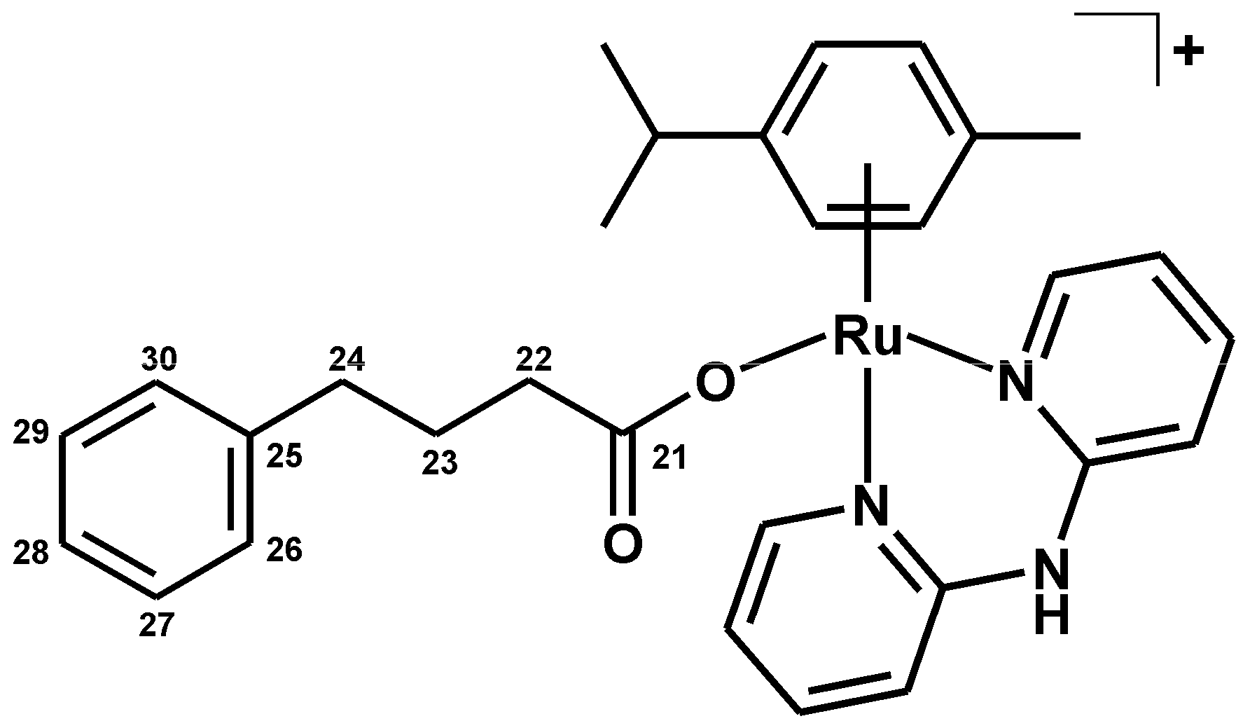 Molecules 21 01725 g012