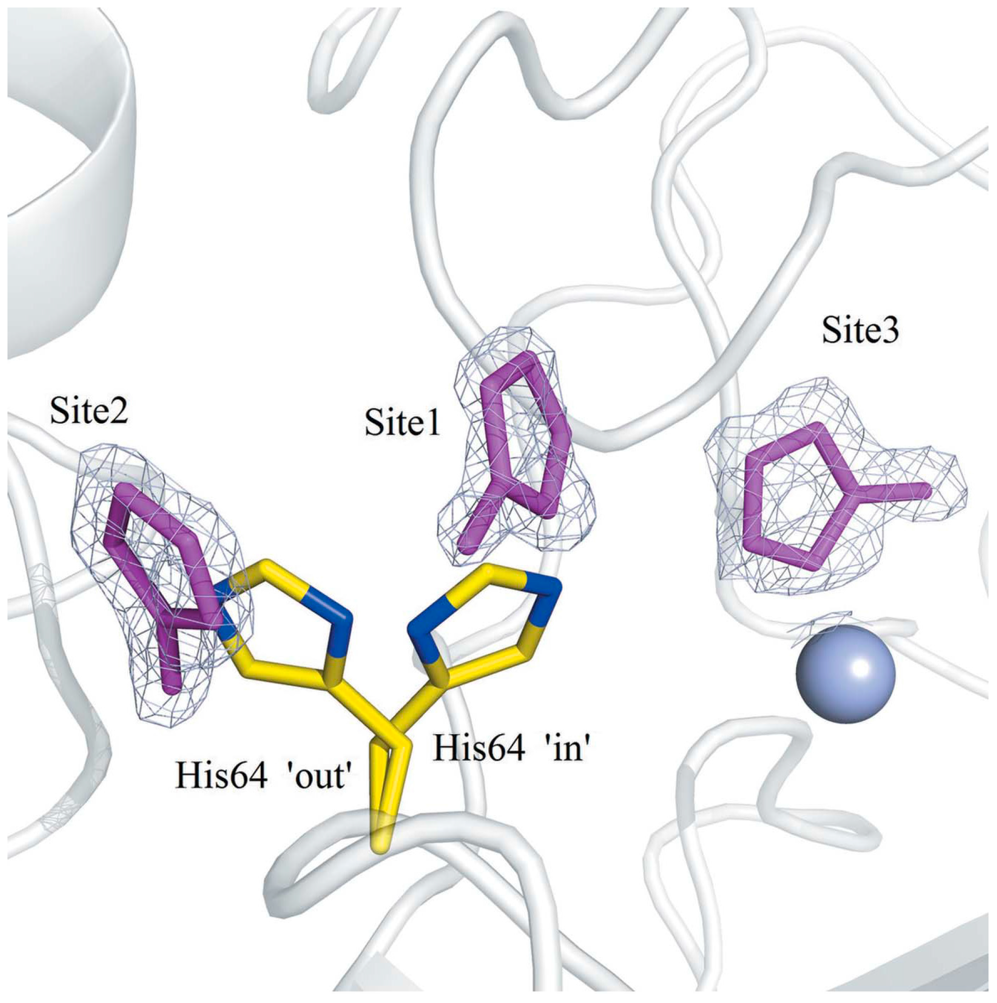Molecules 21 01726 g004