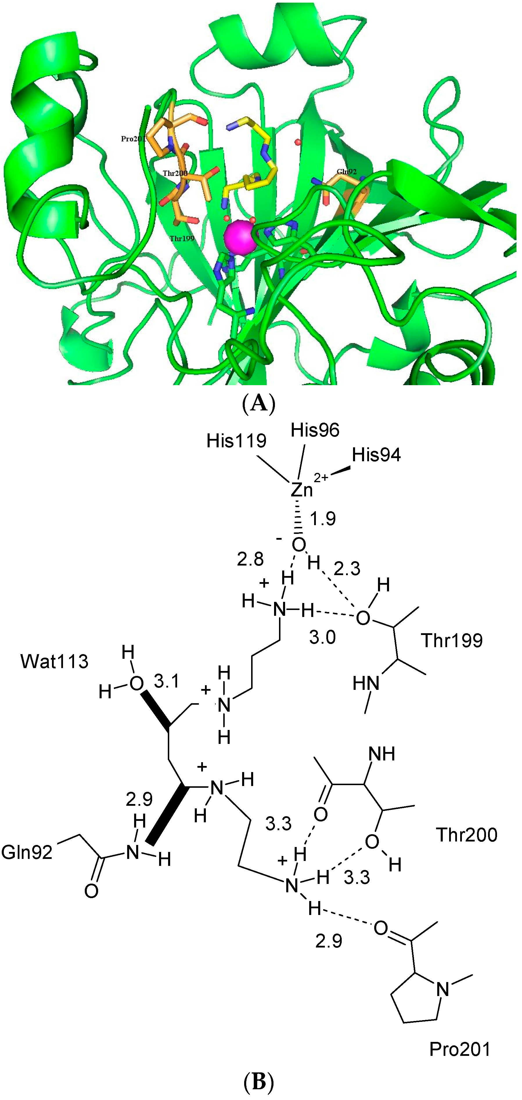 Molecules 21 01726 g007