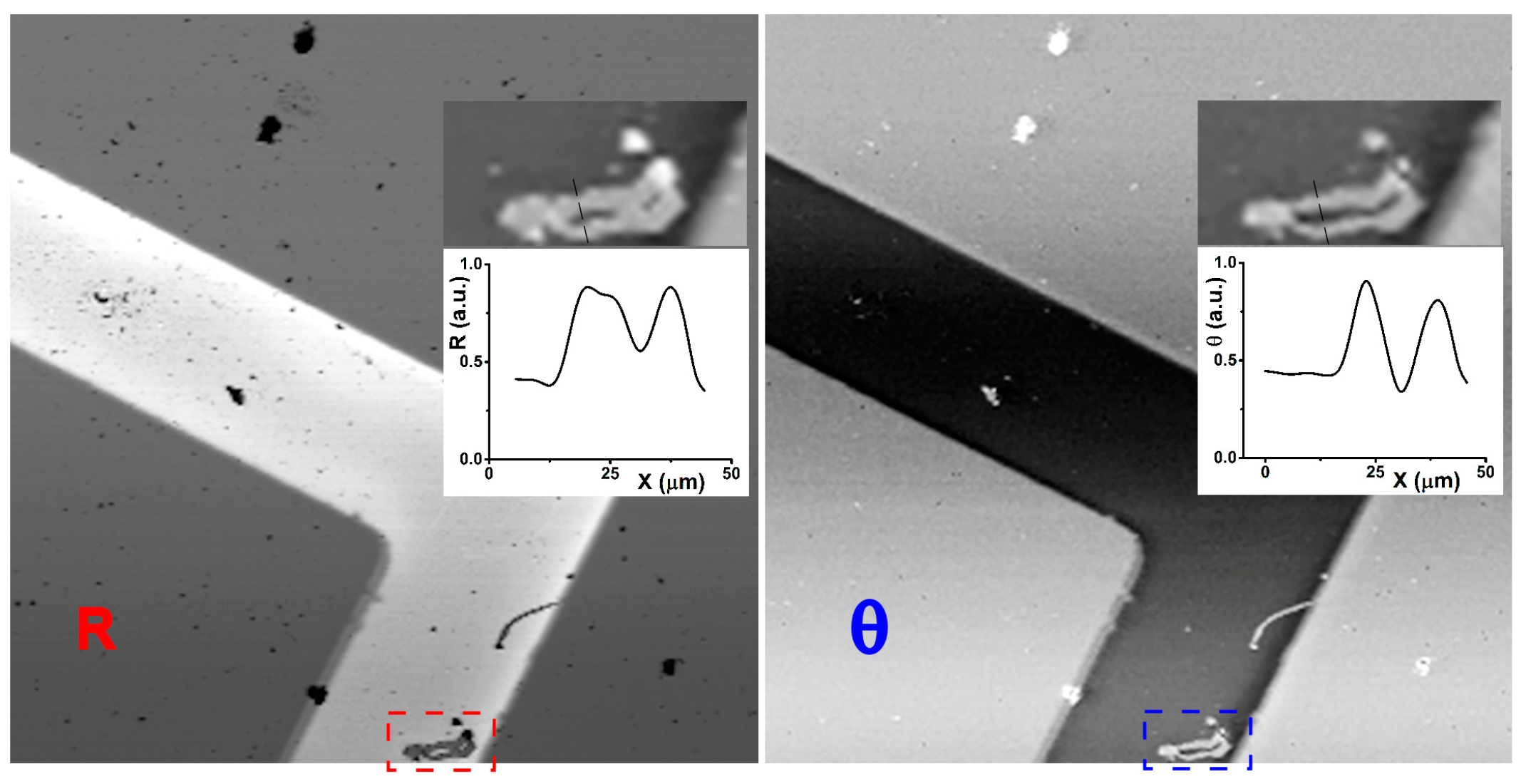 Molecules 21 01727 g002