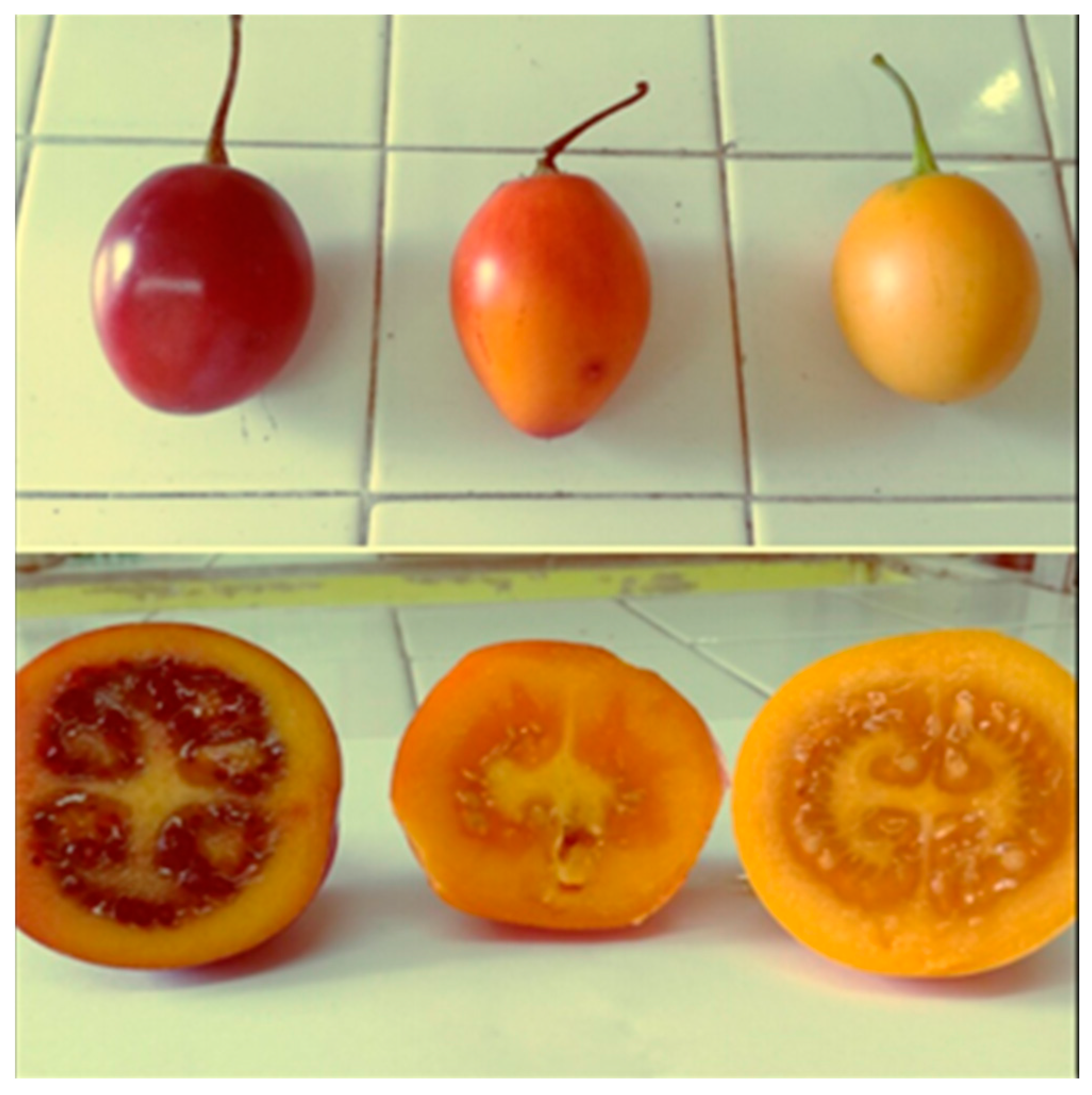 Molecules 21 01729 g001