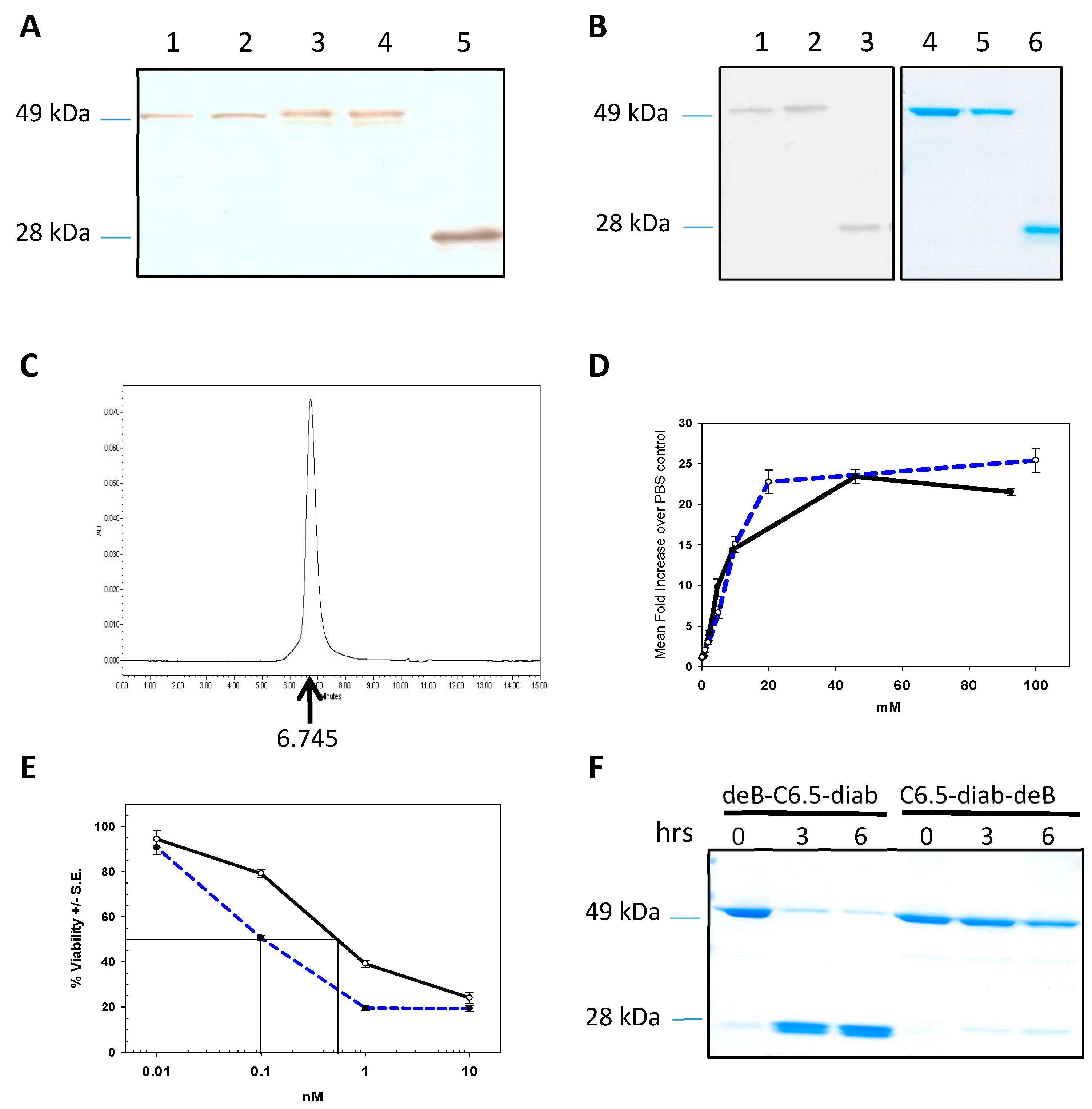 Molecules 21 01741 g001
