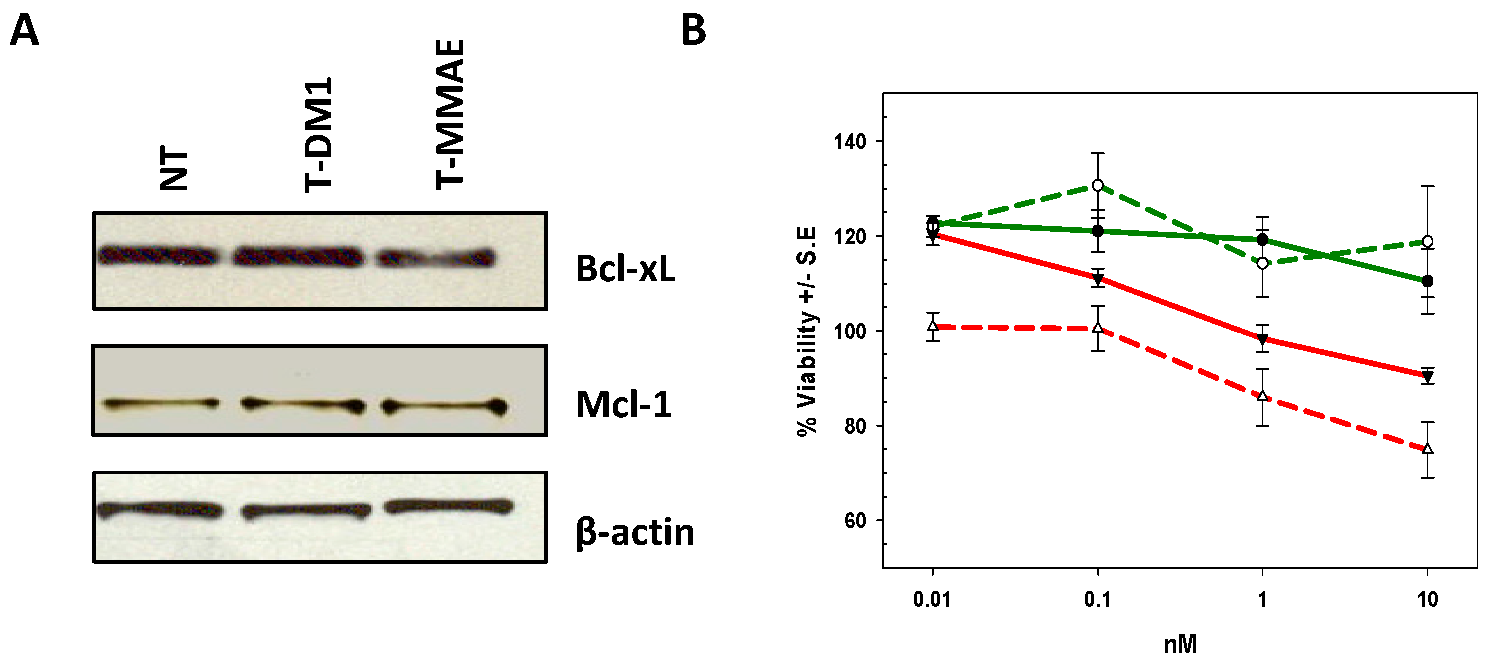 Molecules 21 01741 g006