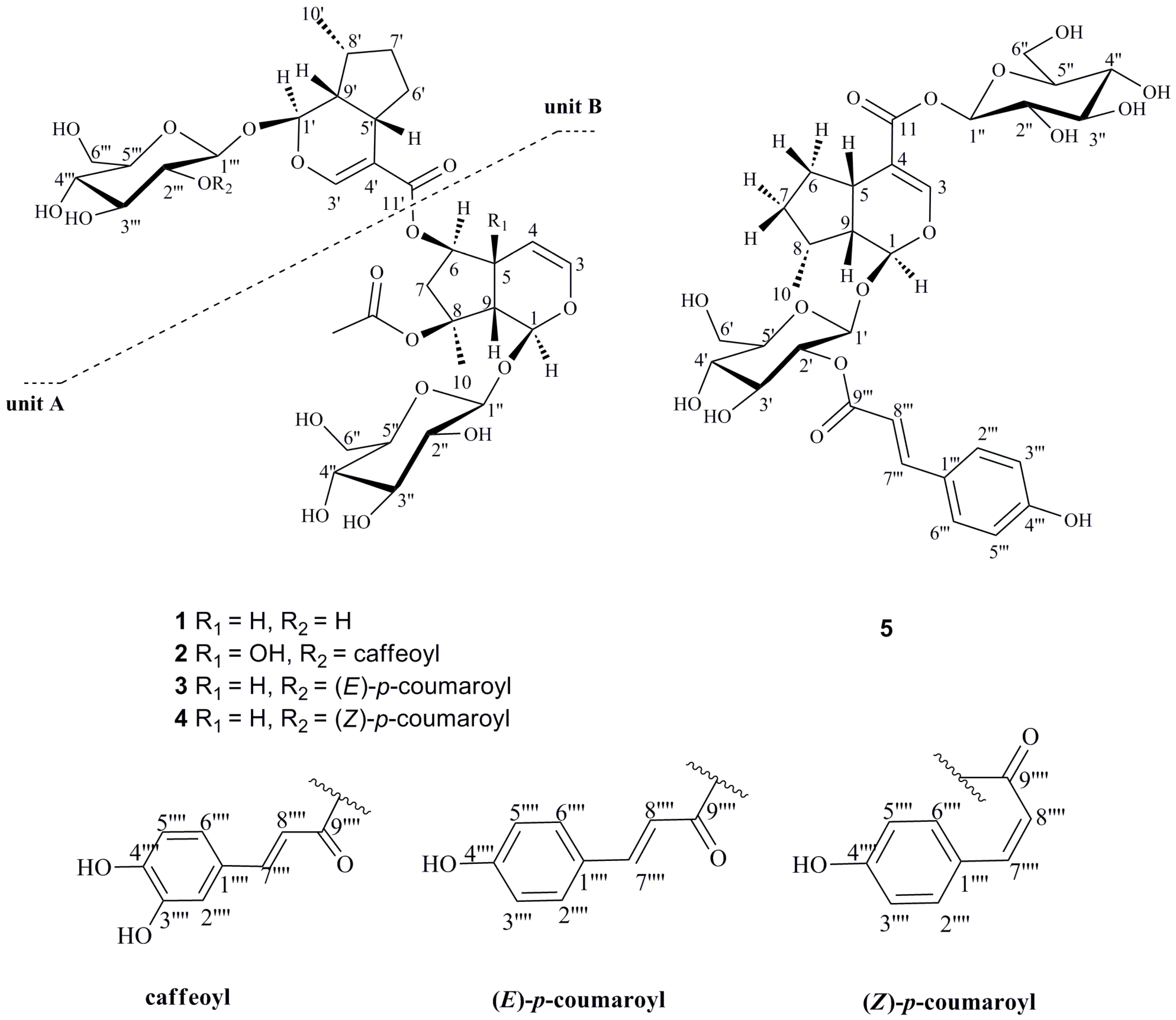 Molecules 21 01749 g001