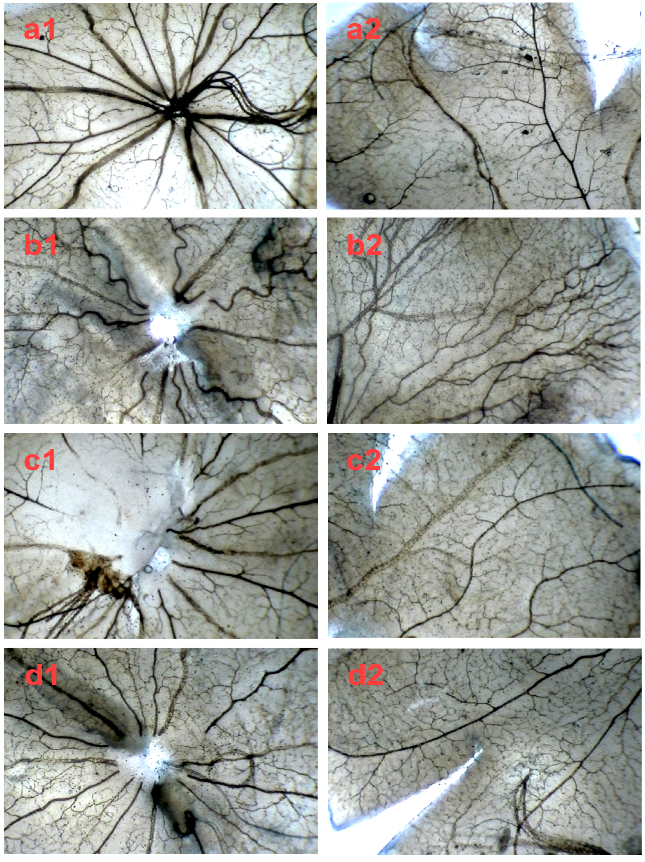 Molecules 21 01756 g006a