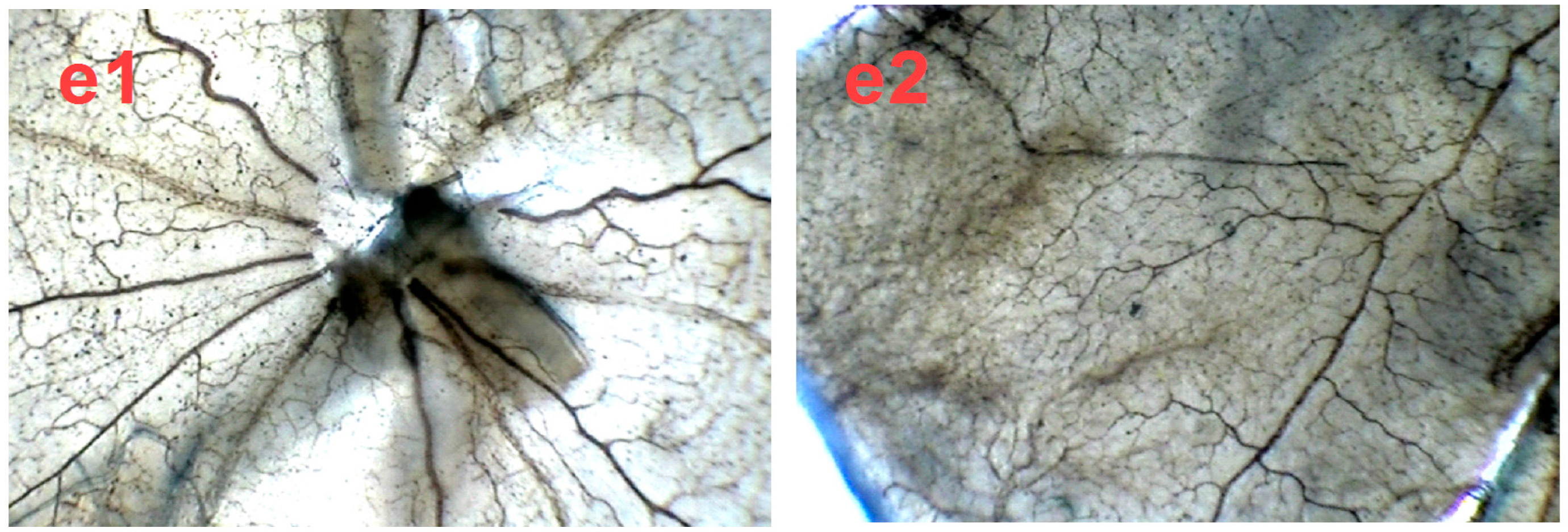 Molecules 21 01756 g006b