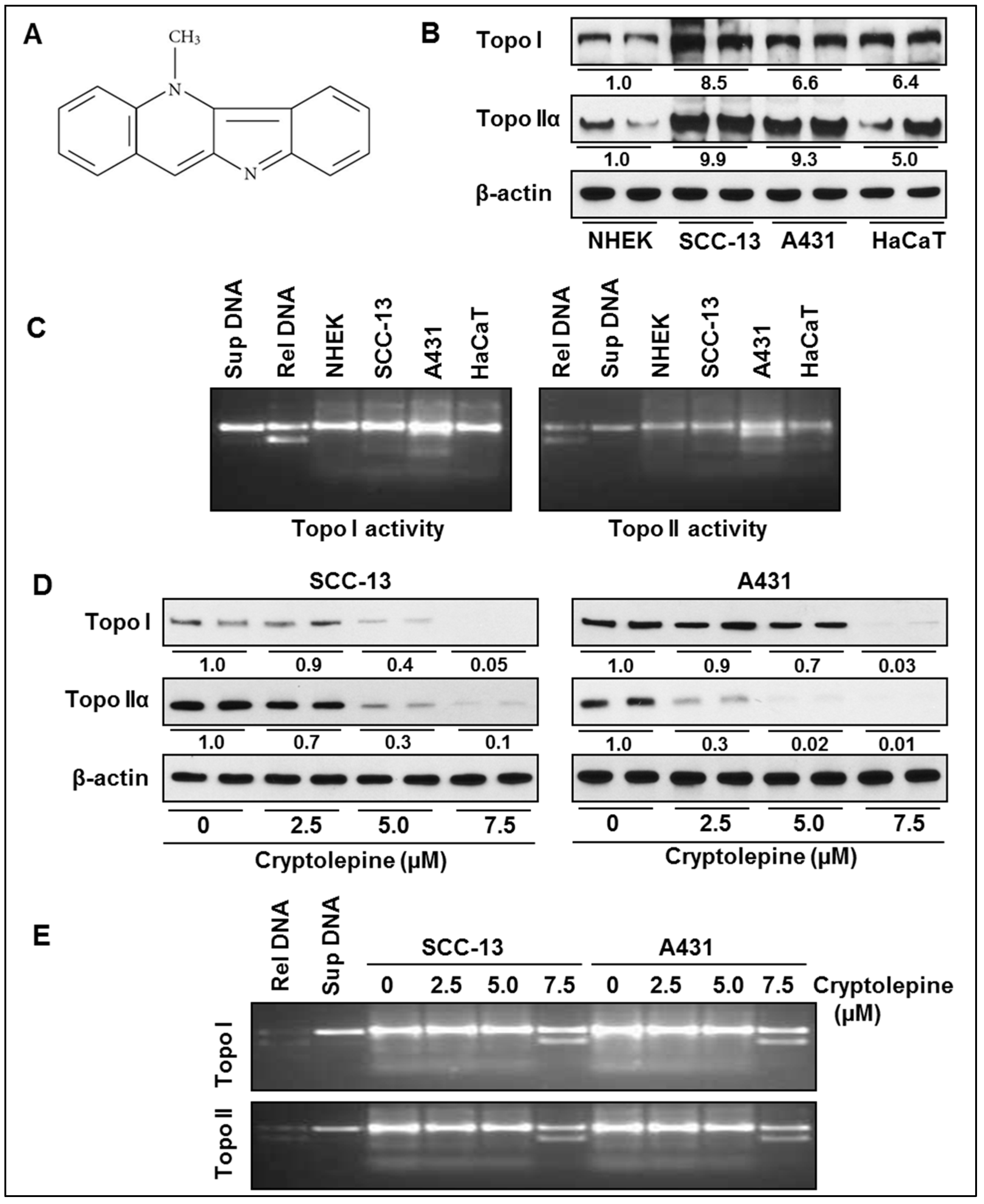 Molecules 21 01758 g001