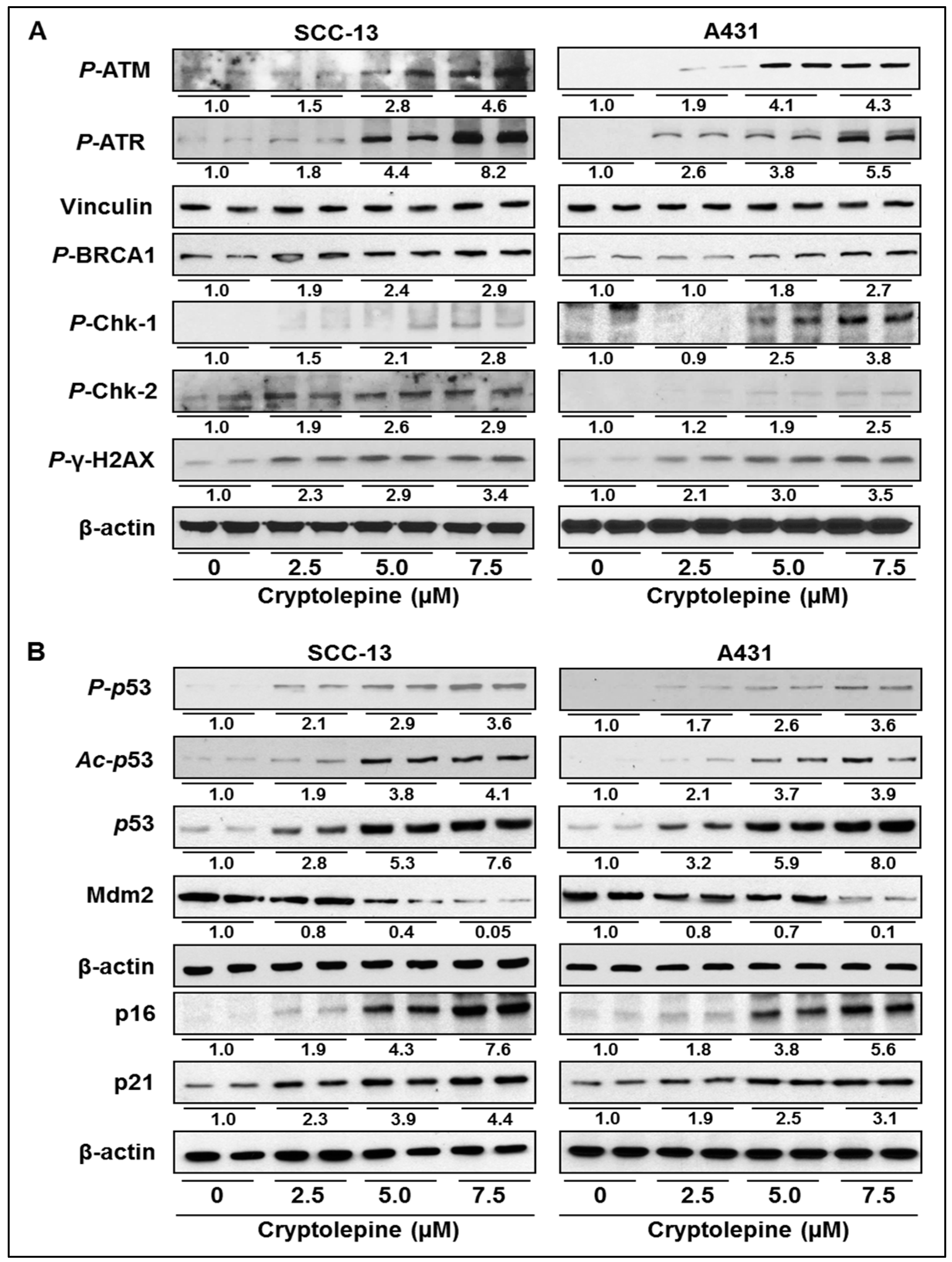 Molecules 21 01758 g003
