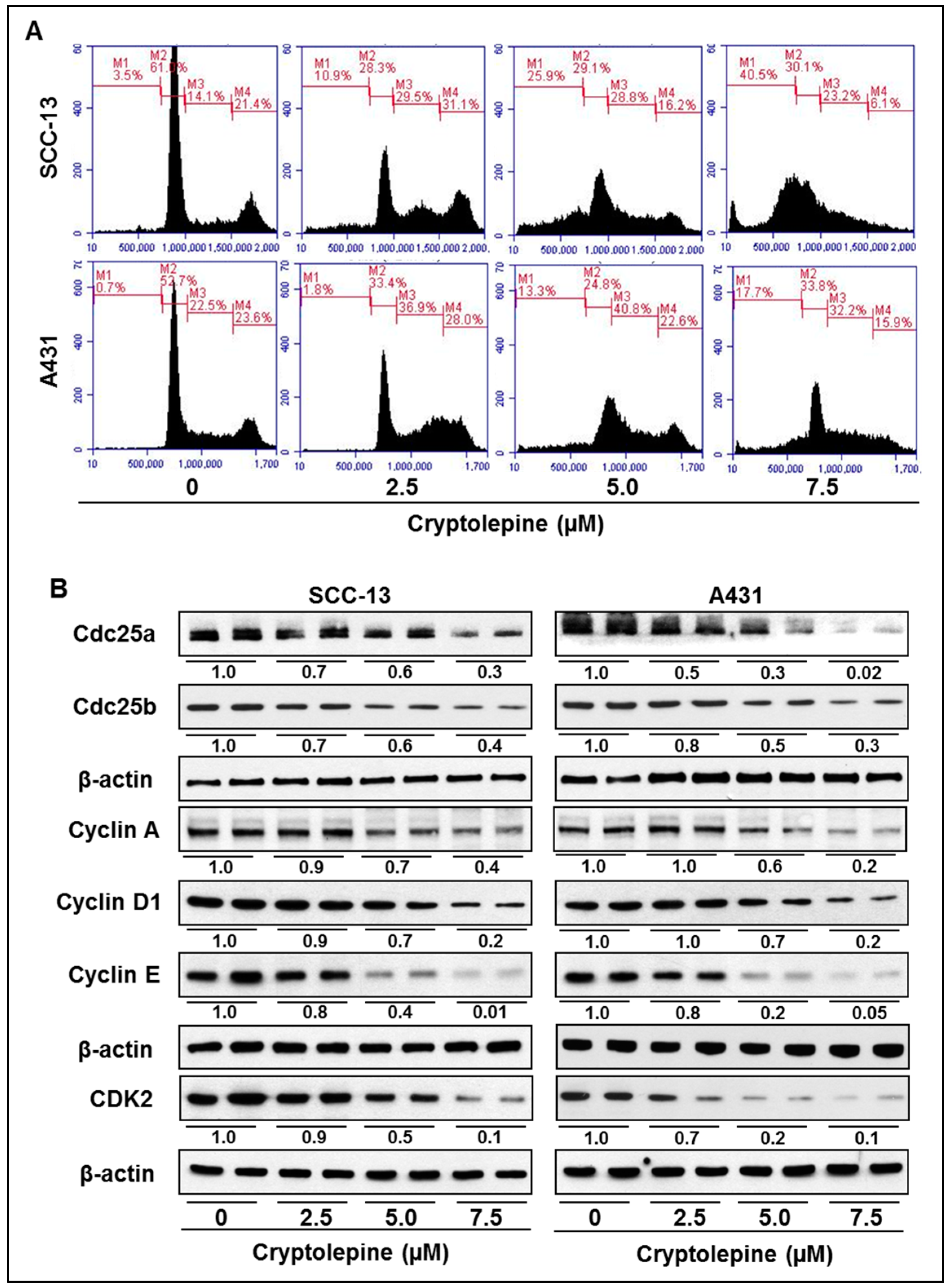 Molecules 21 01758 g004