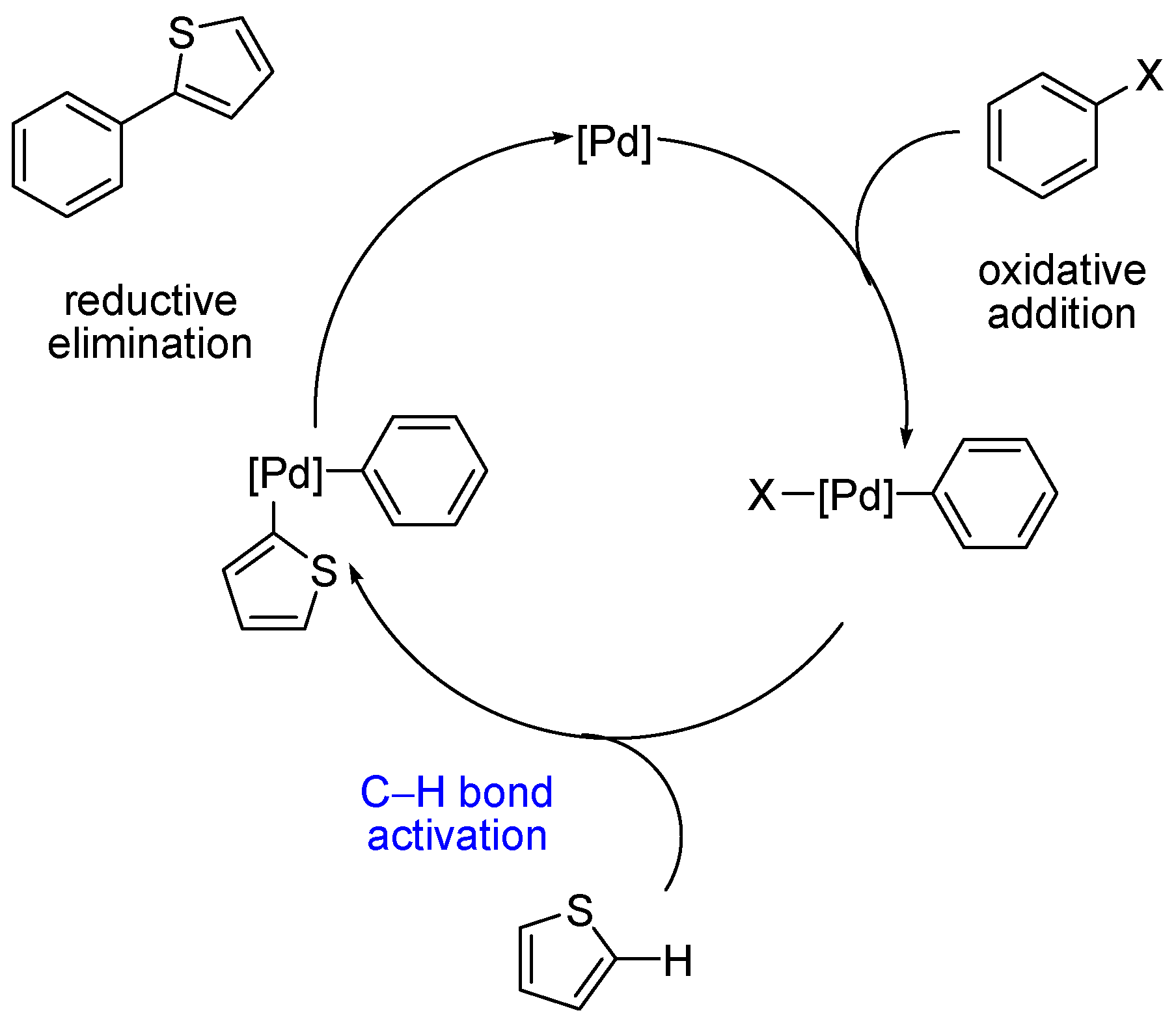 Molecules 22 00021 g002