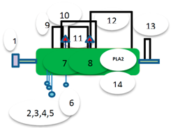 Molecules 22 00025 i001