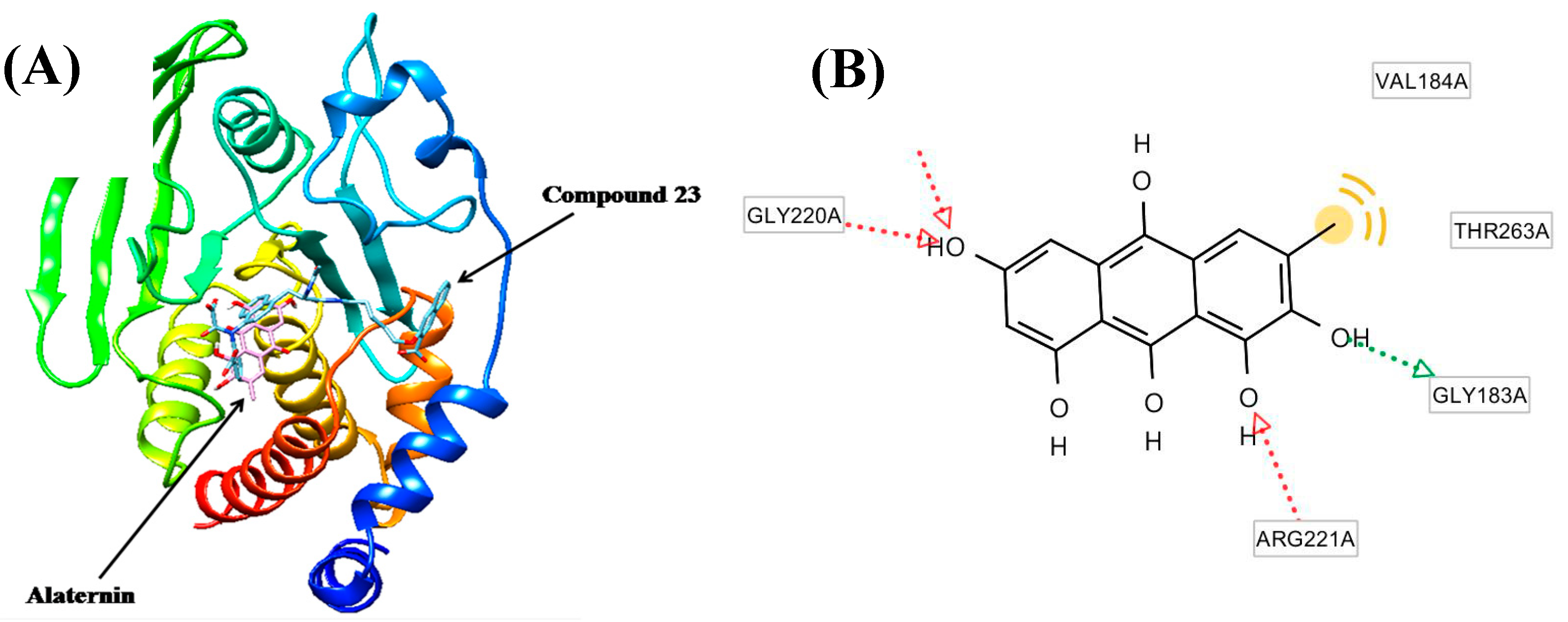 Molecules 22 00028 g004