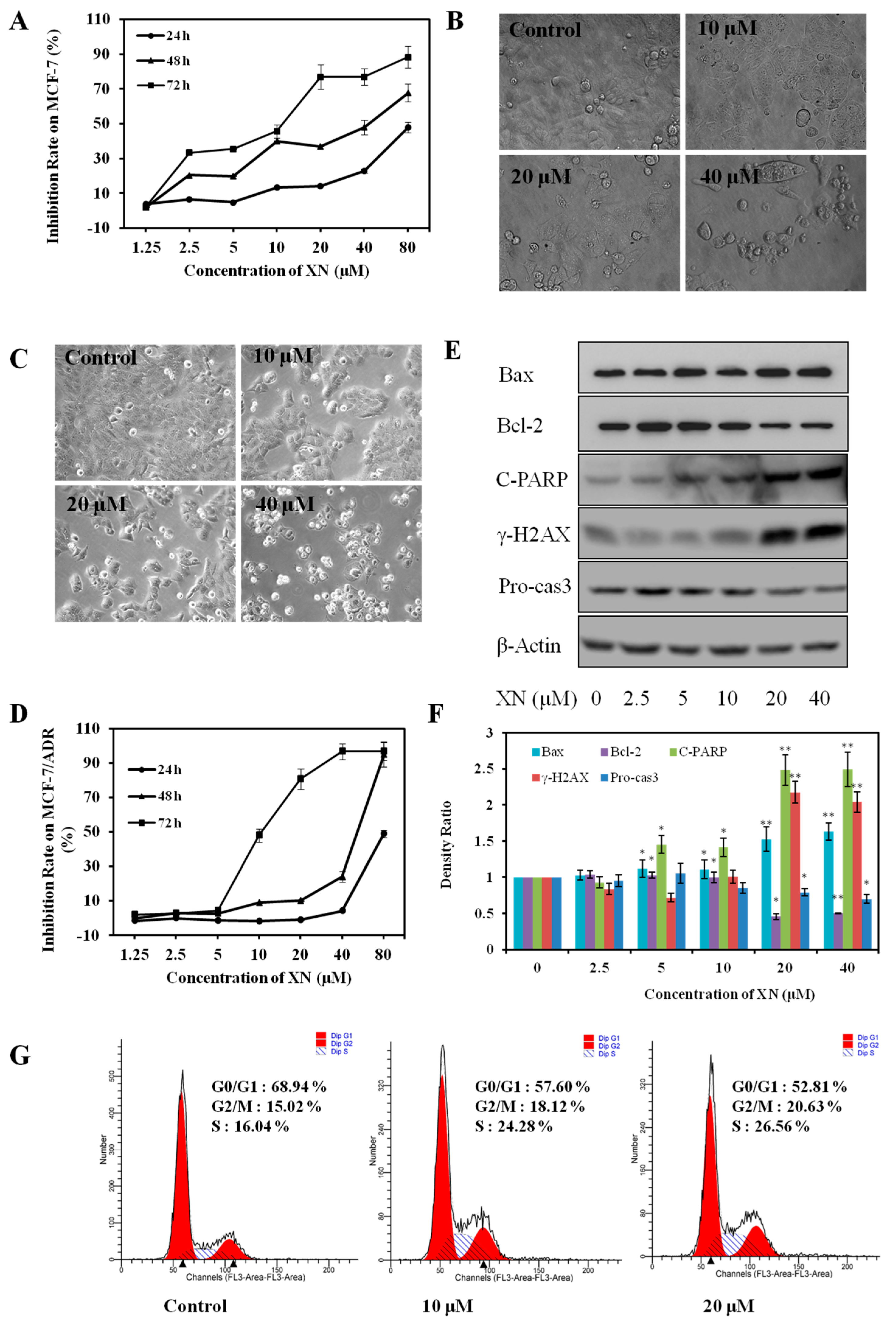 Molecules 22 00036 g002