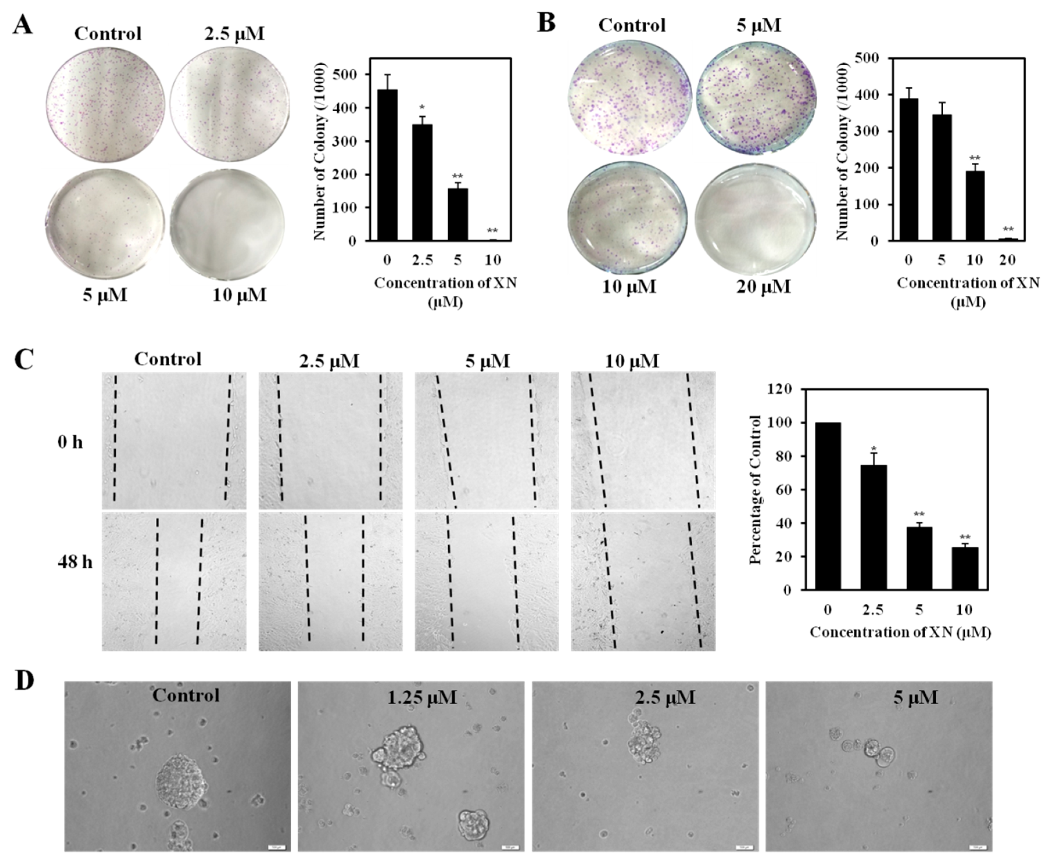 Molecules 22 00036 g005