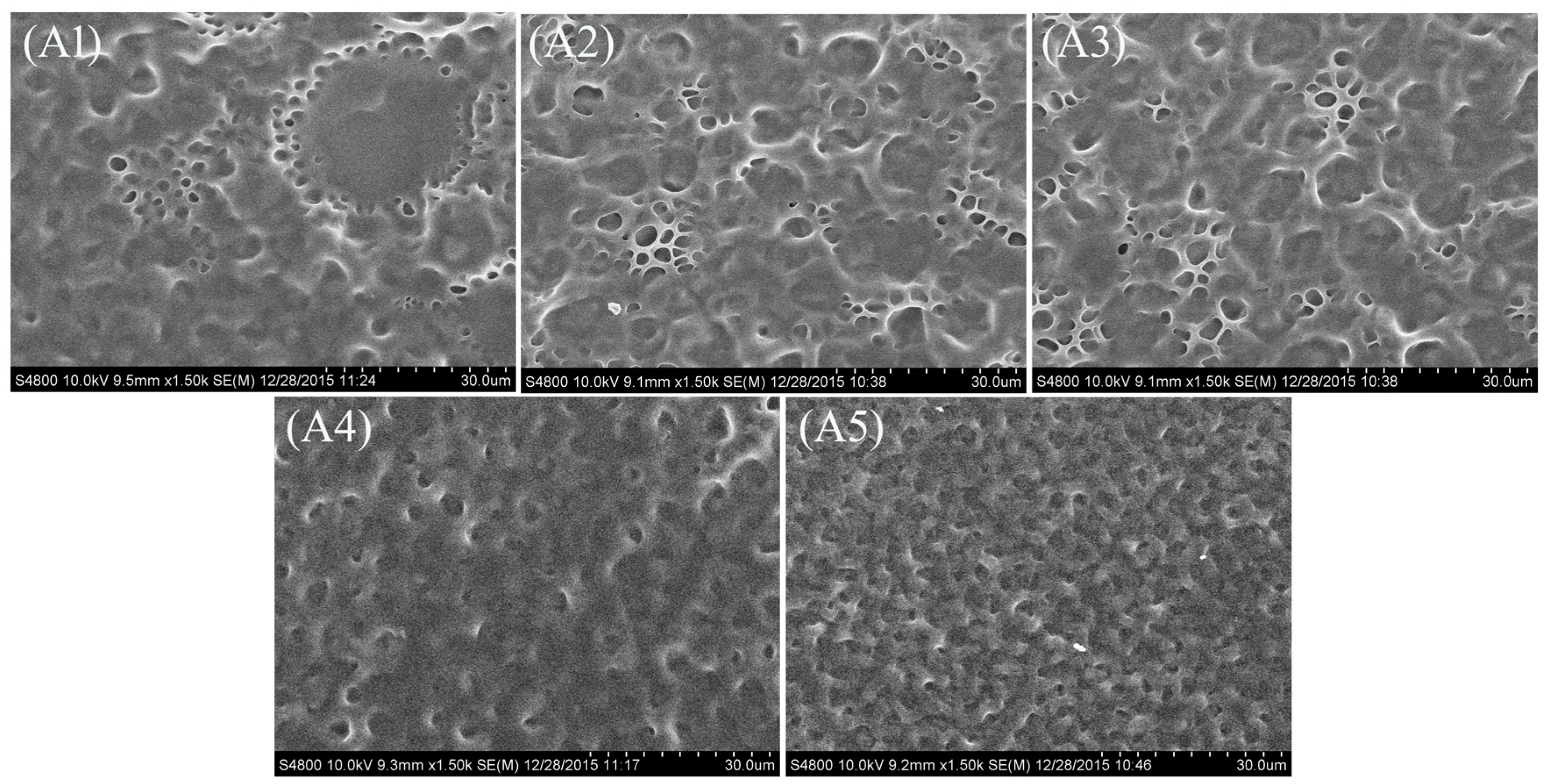 Molecules 22 00043 g002