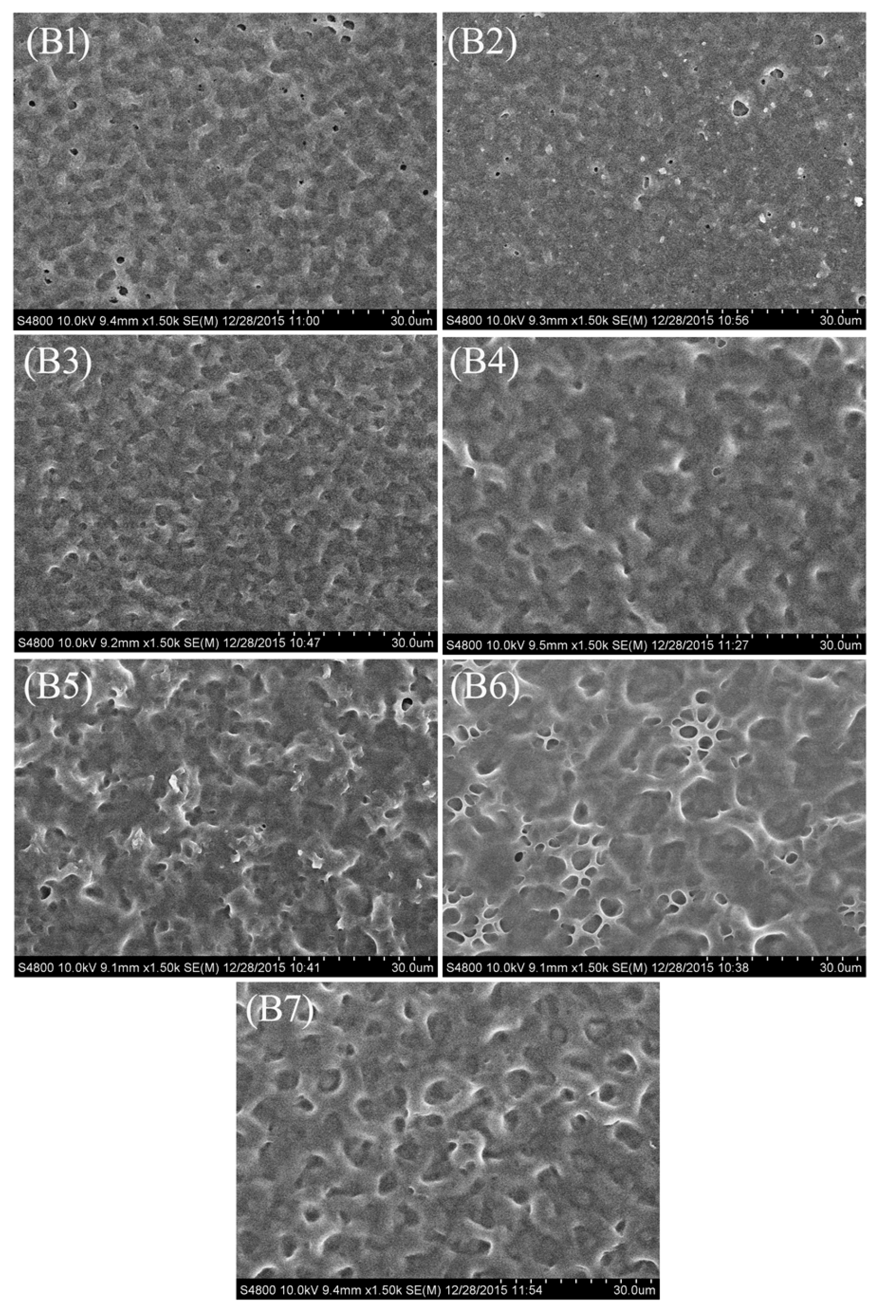 Molecules 22 00043 g003