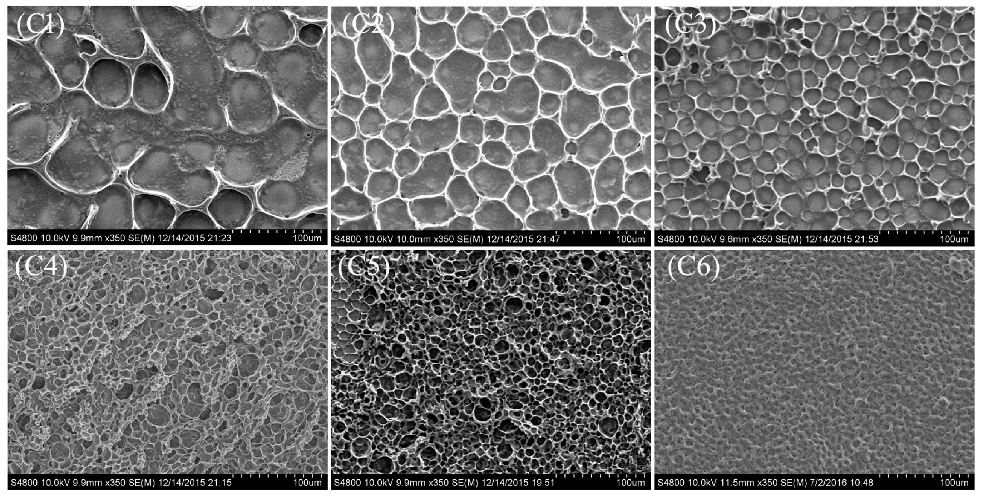 Molecules 22 00043 g004
