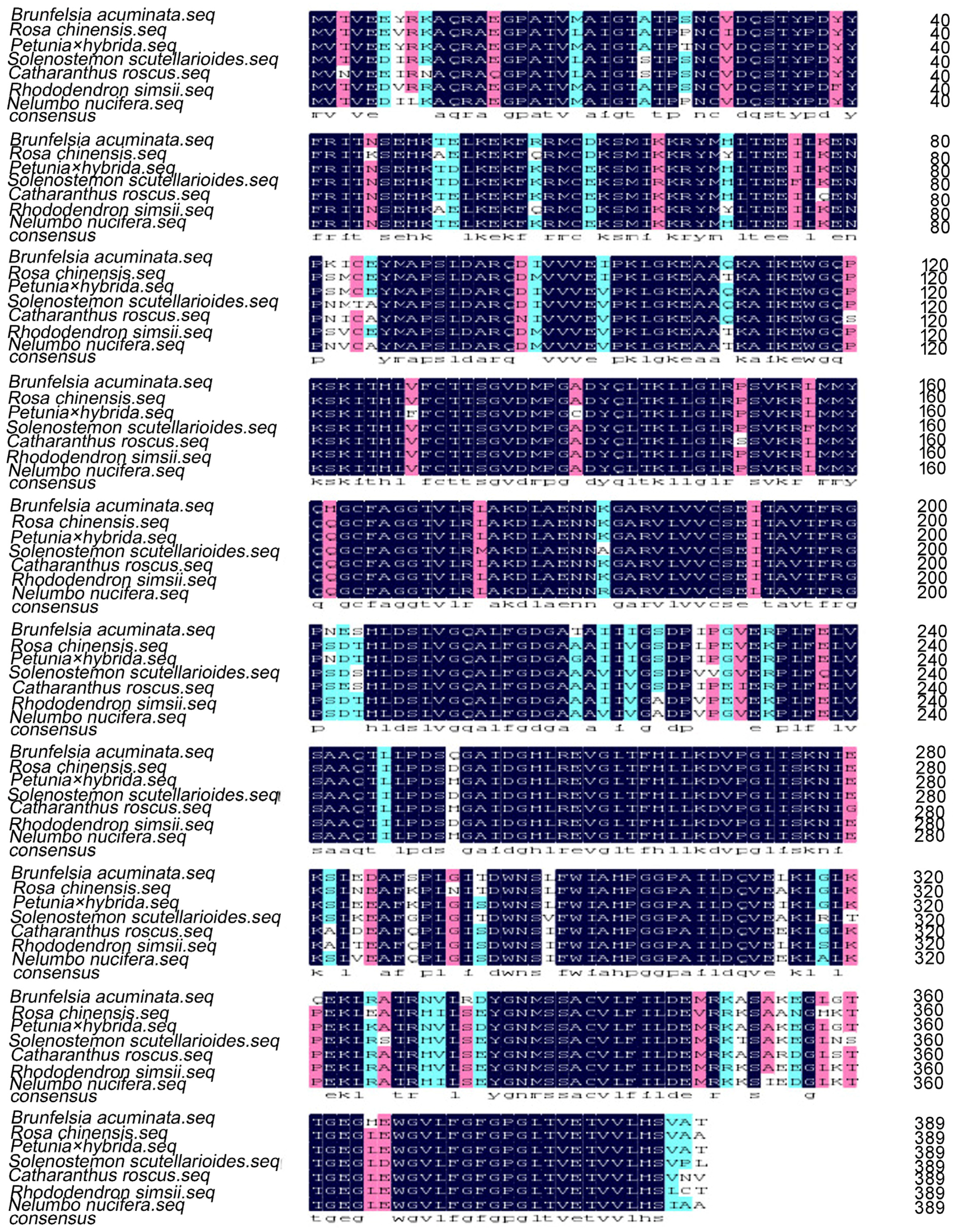 Molecules 22 00044 g004