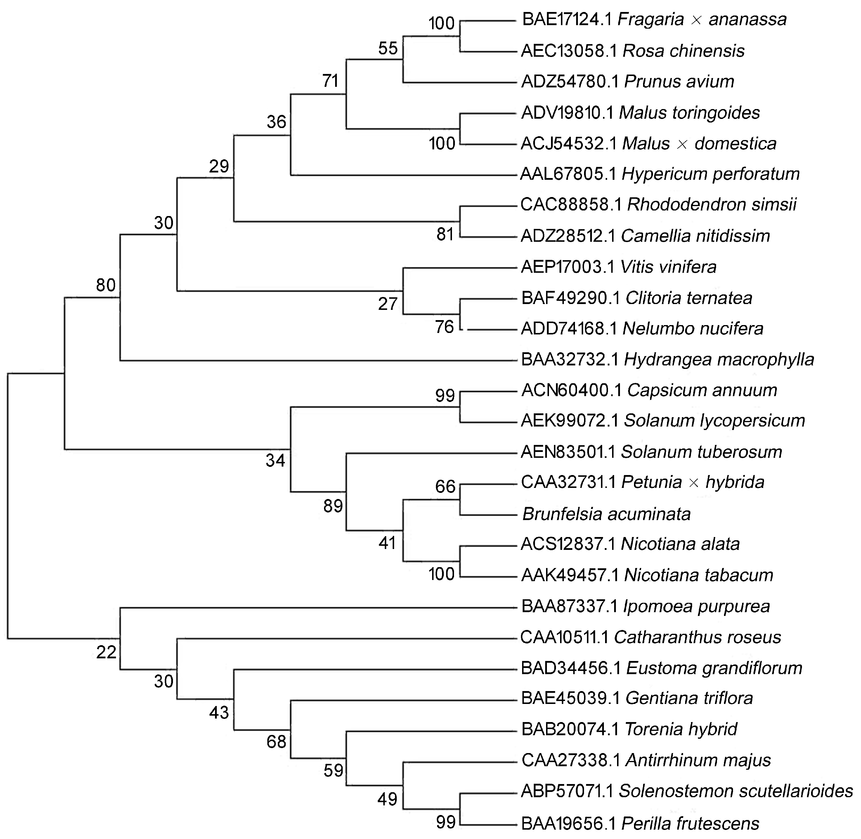 Molecules 22 00044 g005
