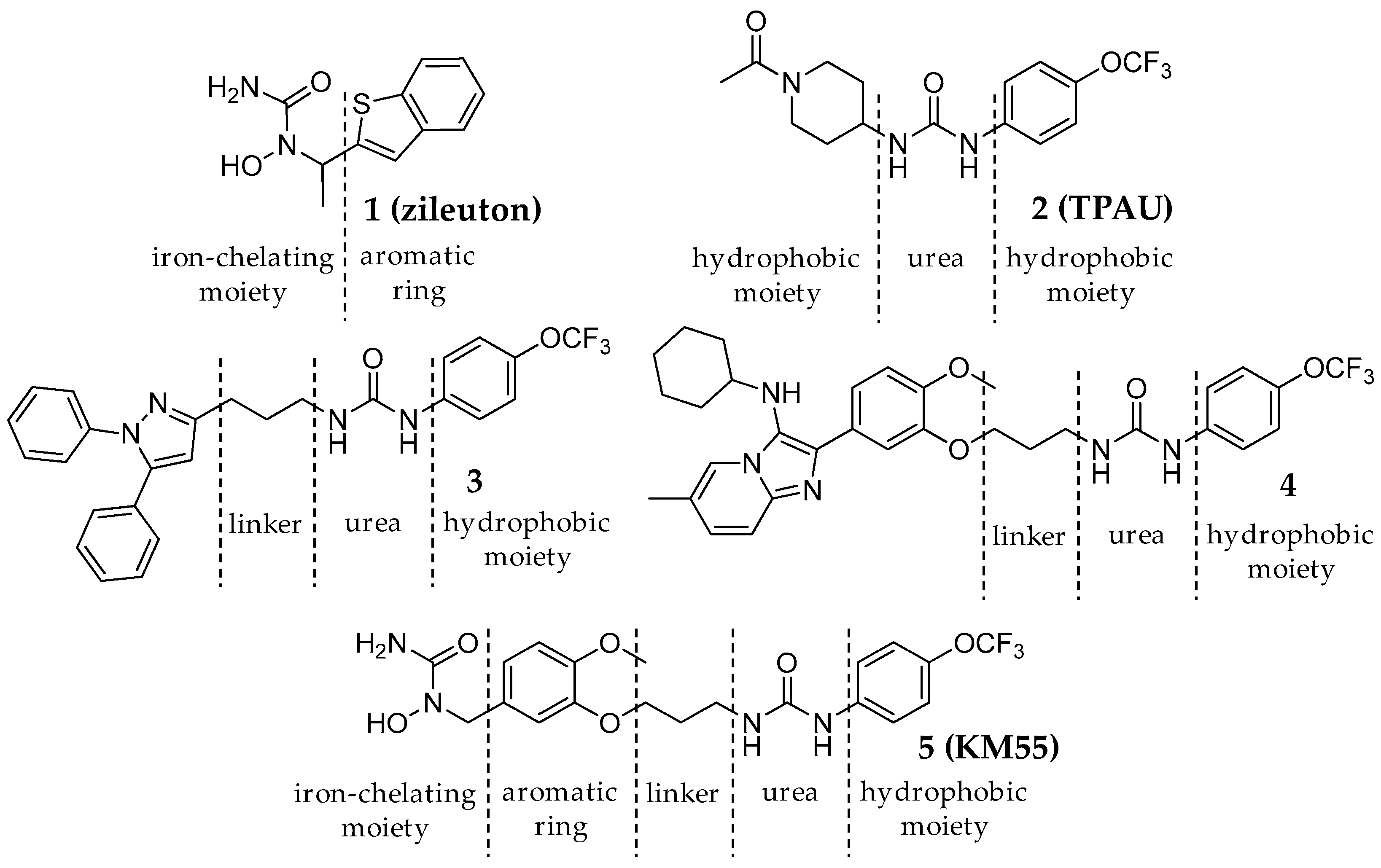 Molecules 22 00045 sch001