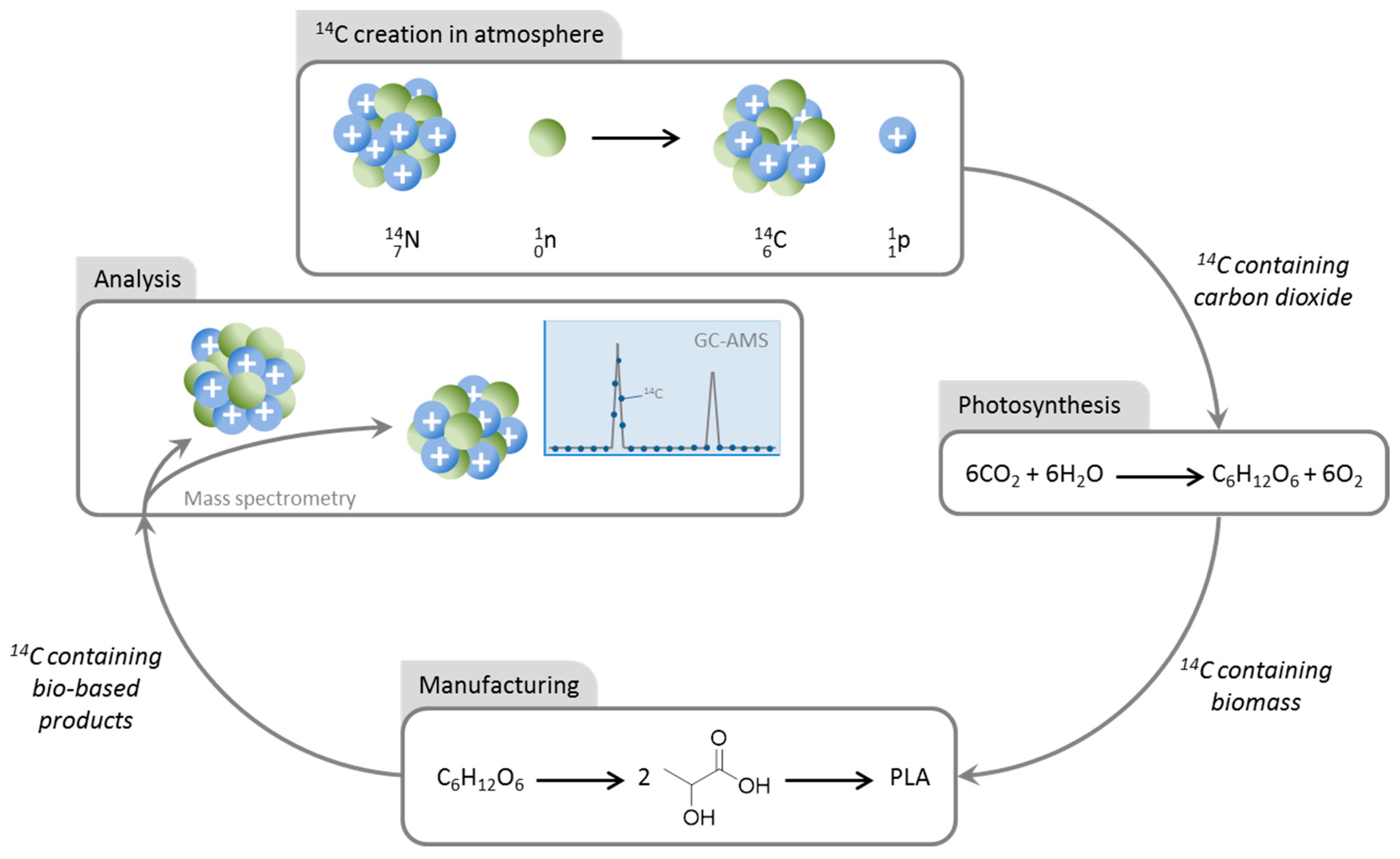 Molecules 22 00048 g001