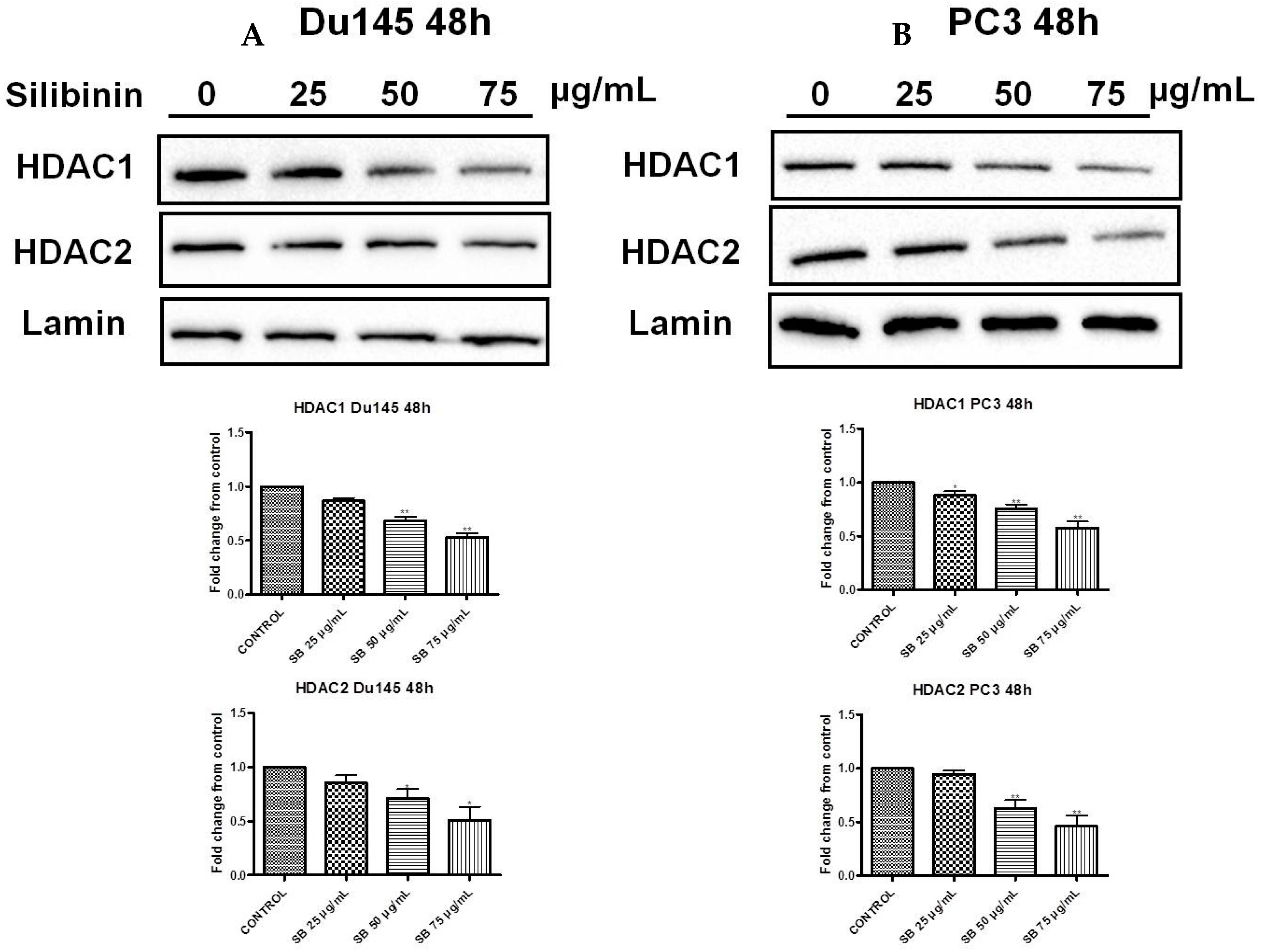 Molecules 22 00062 g007