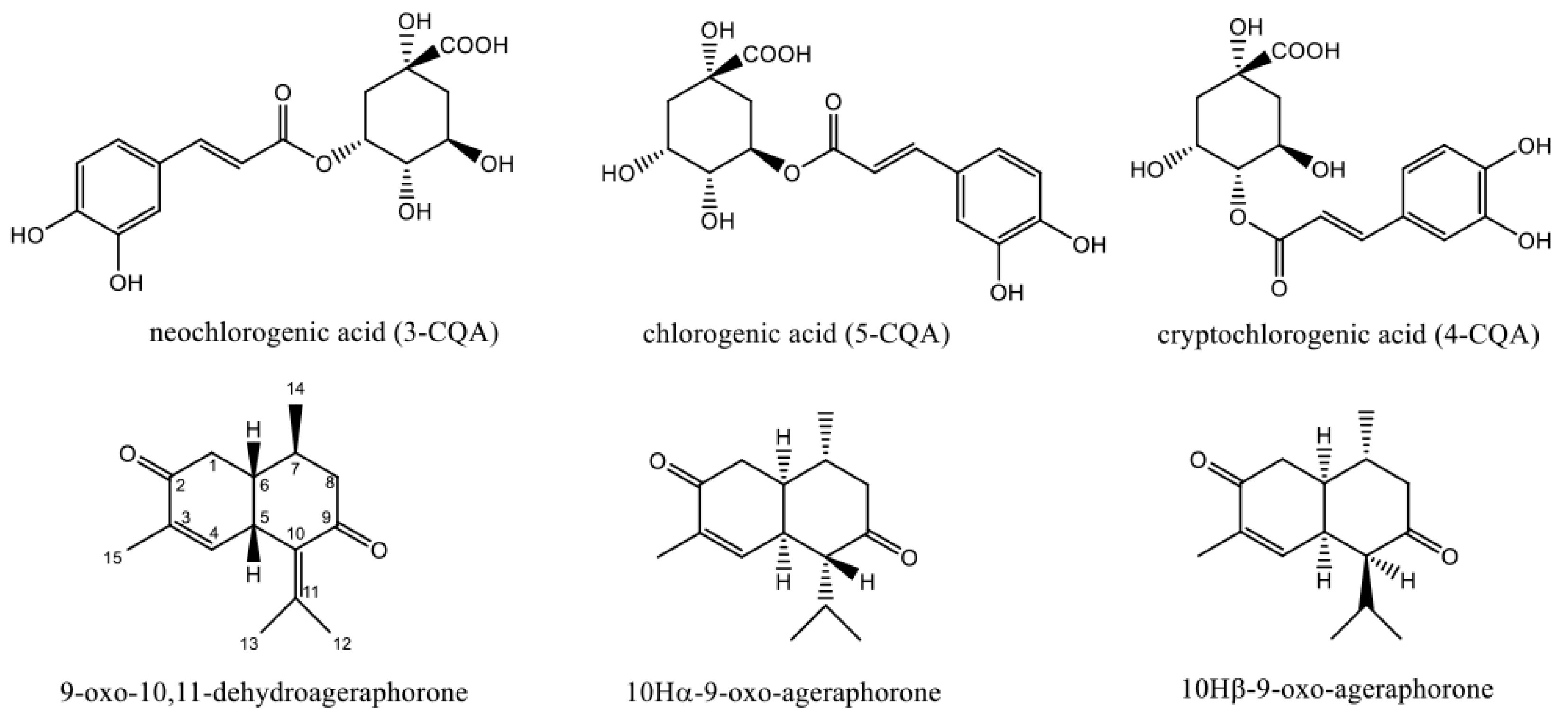 Molecules 22 00067 g001