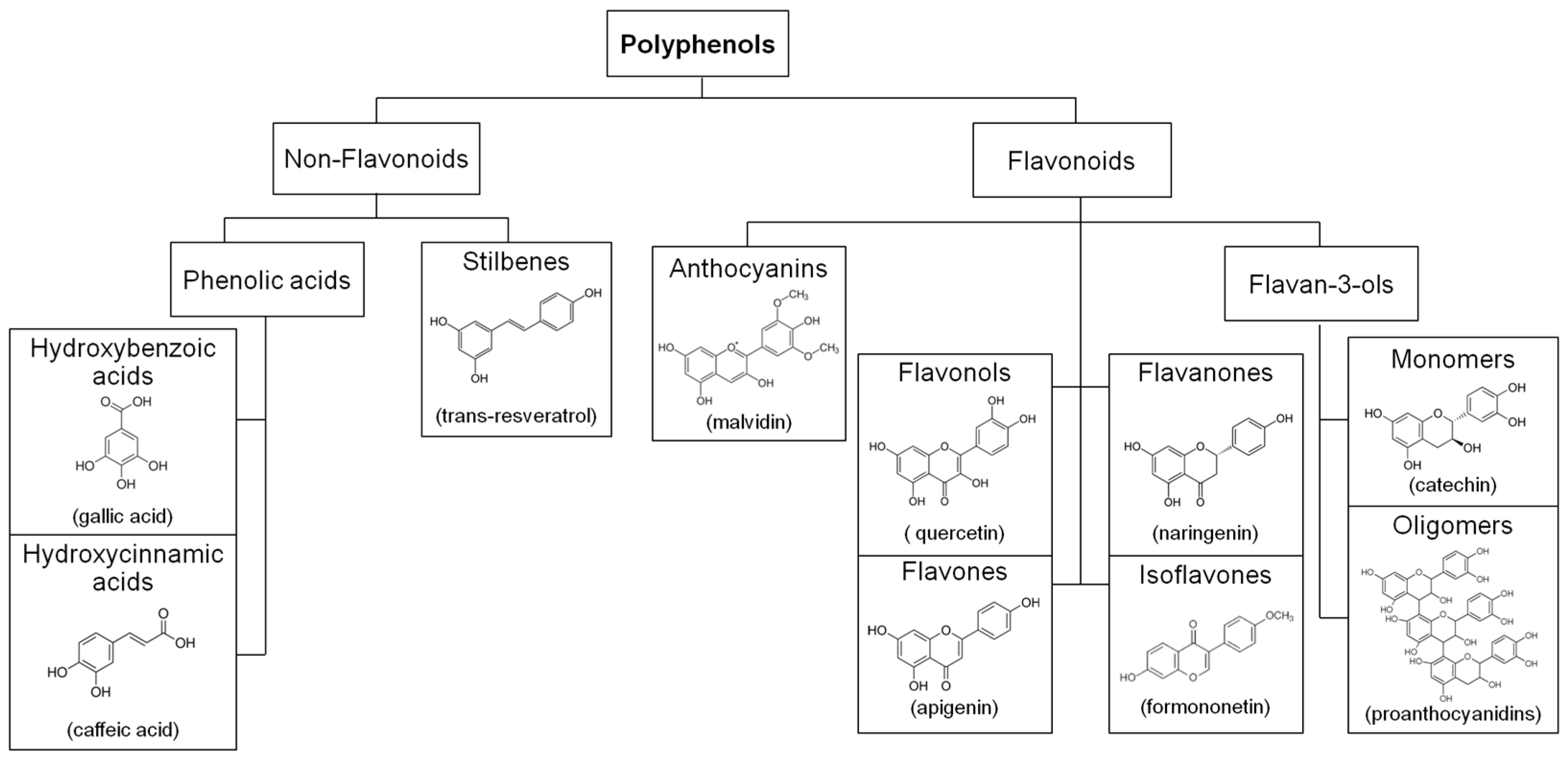 Molecules 22 00068 g001