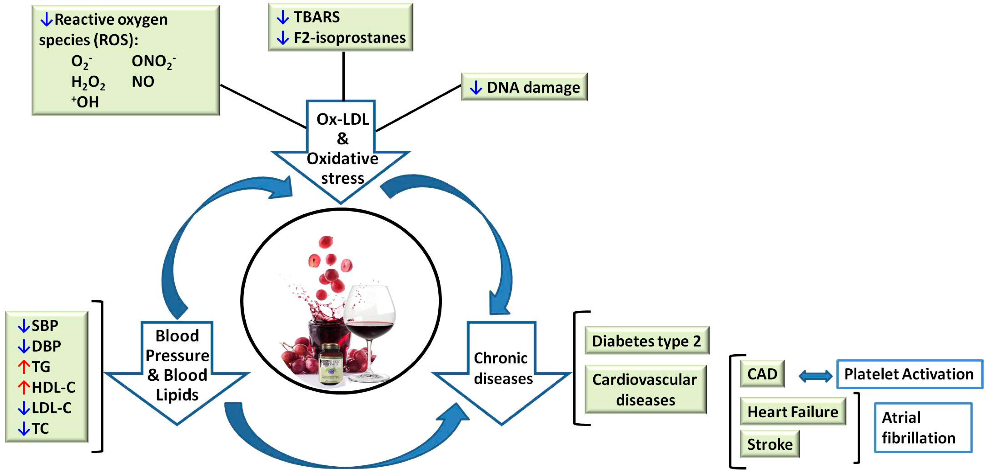 Molecules 22 00068 g002