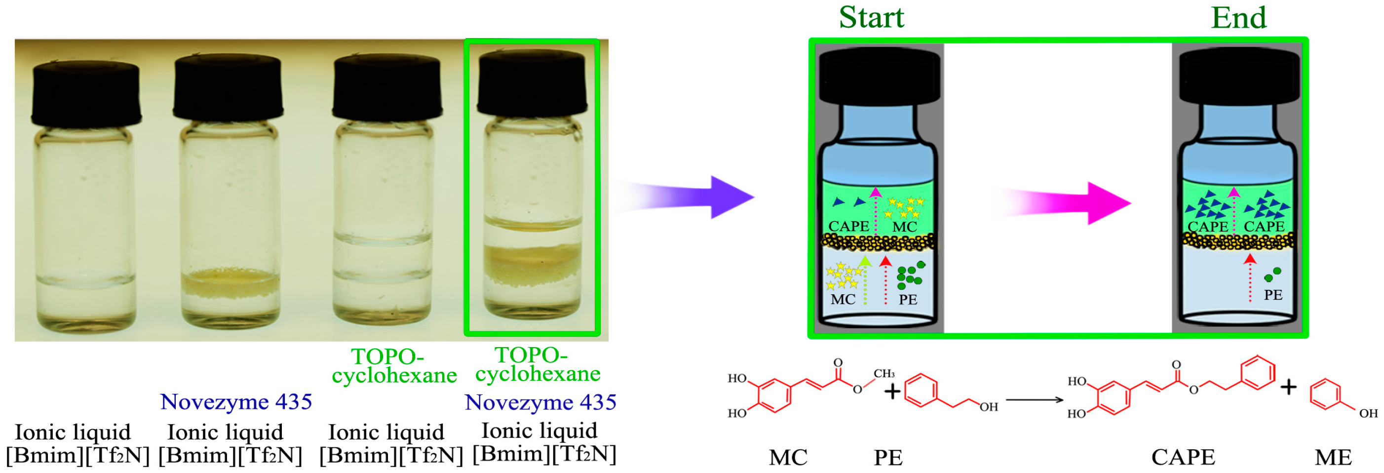 Molecules 22 00072 g001
