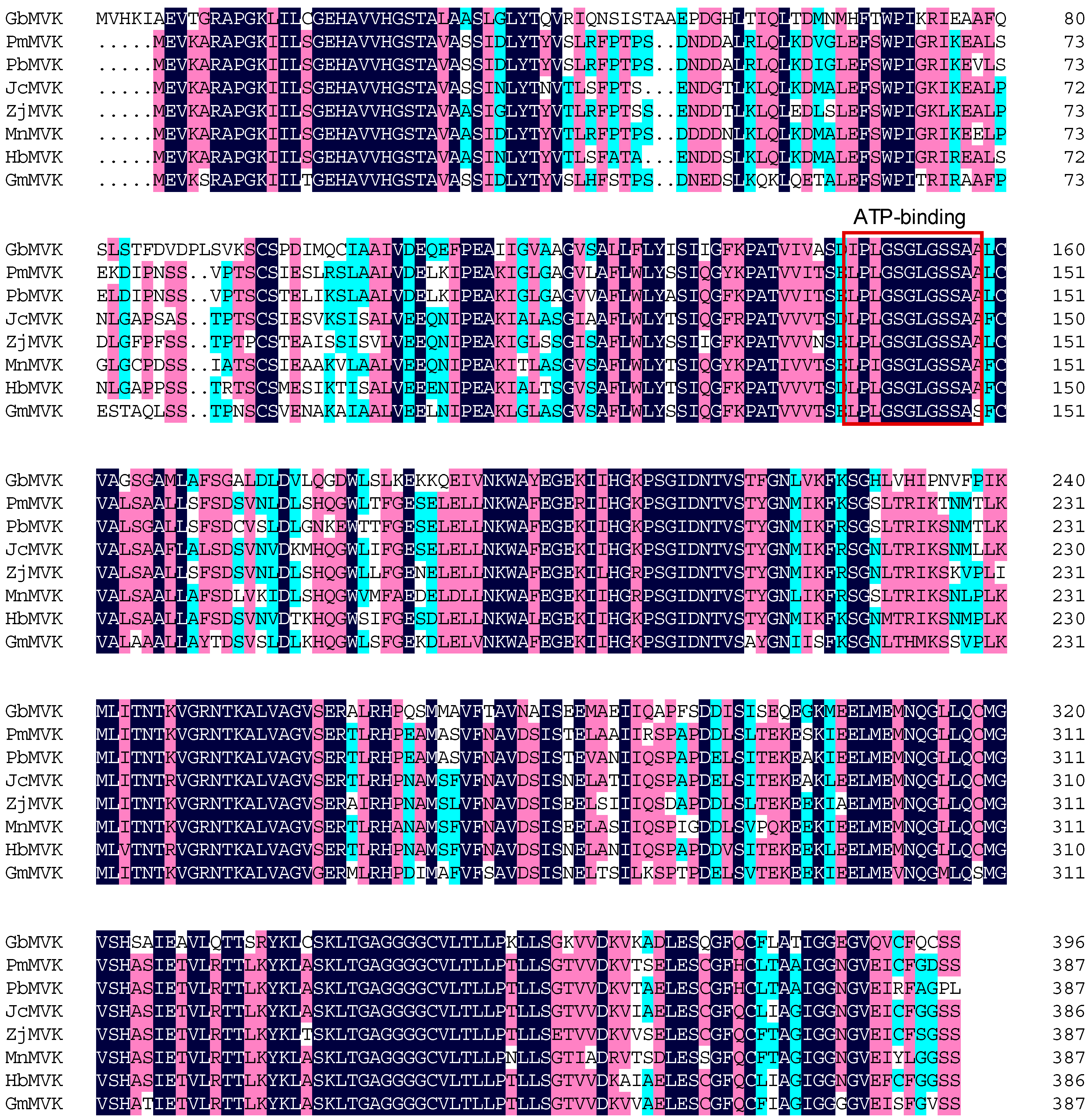 Molecules 22 00074 g003