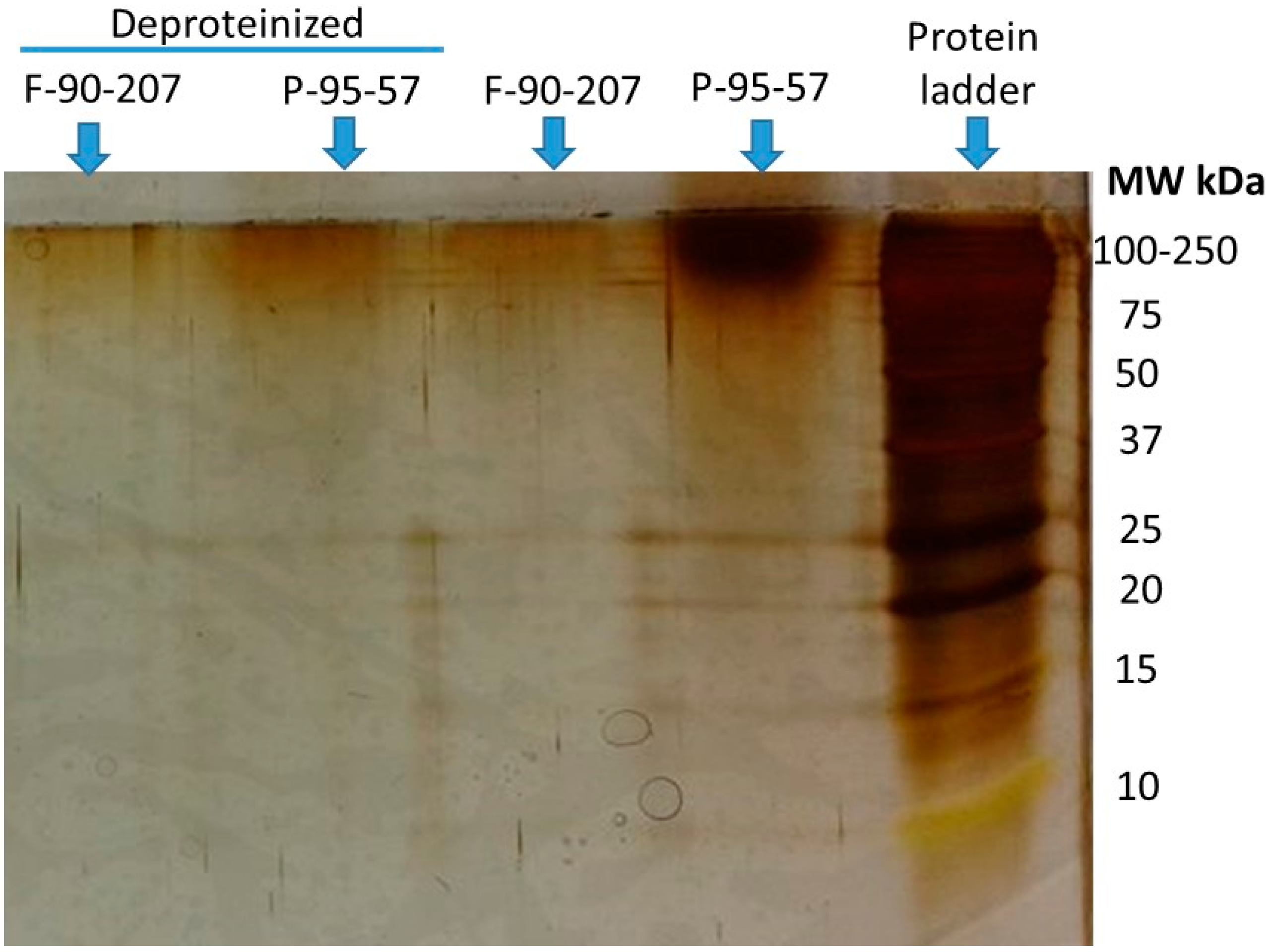 Molecules 22 00100 g007