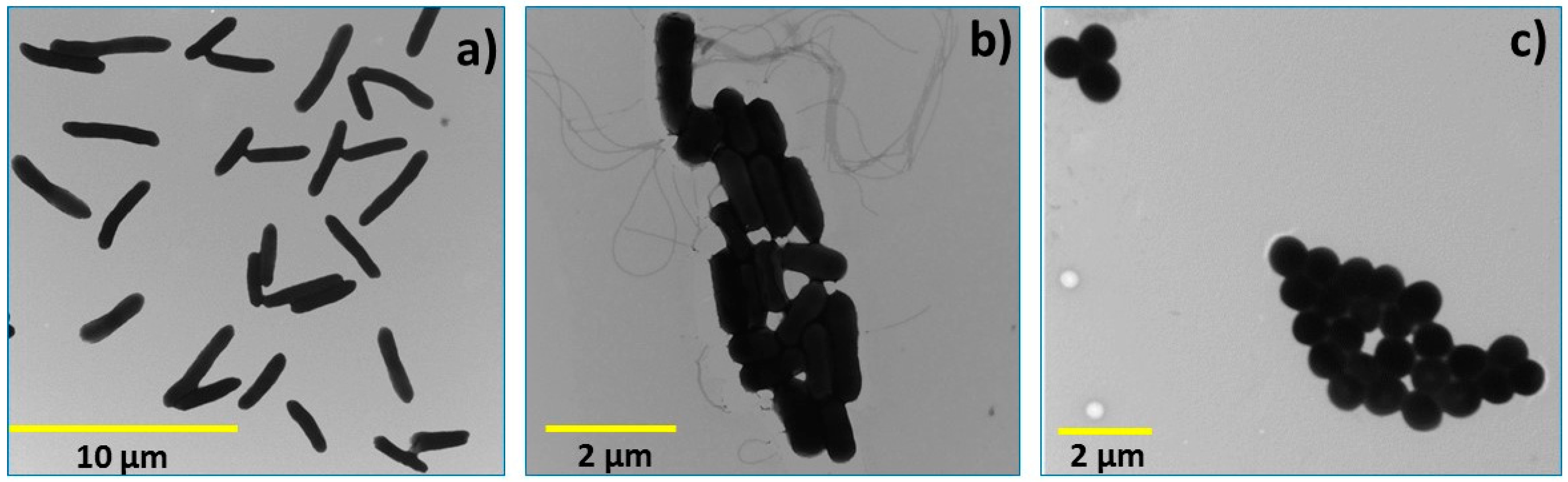 Molecules 22 00100 g010