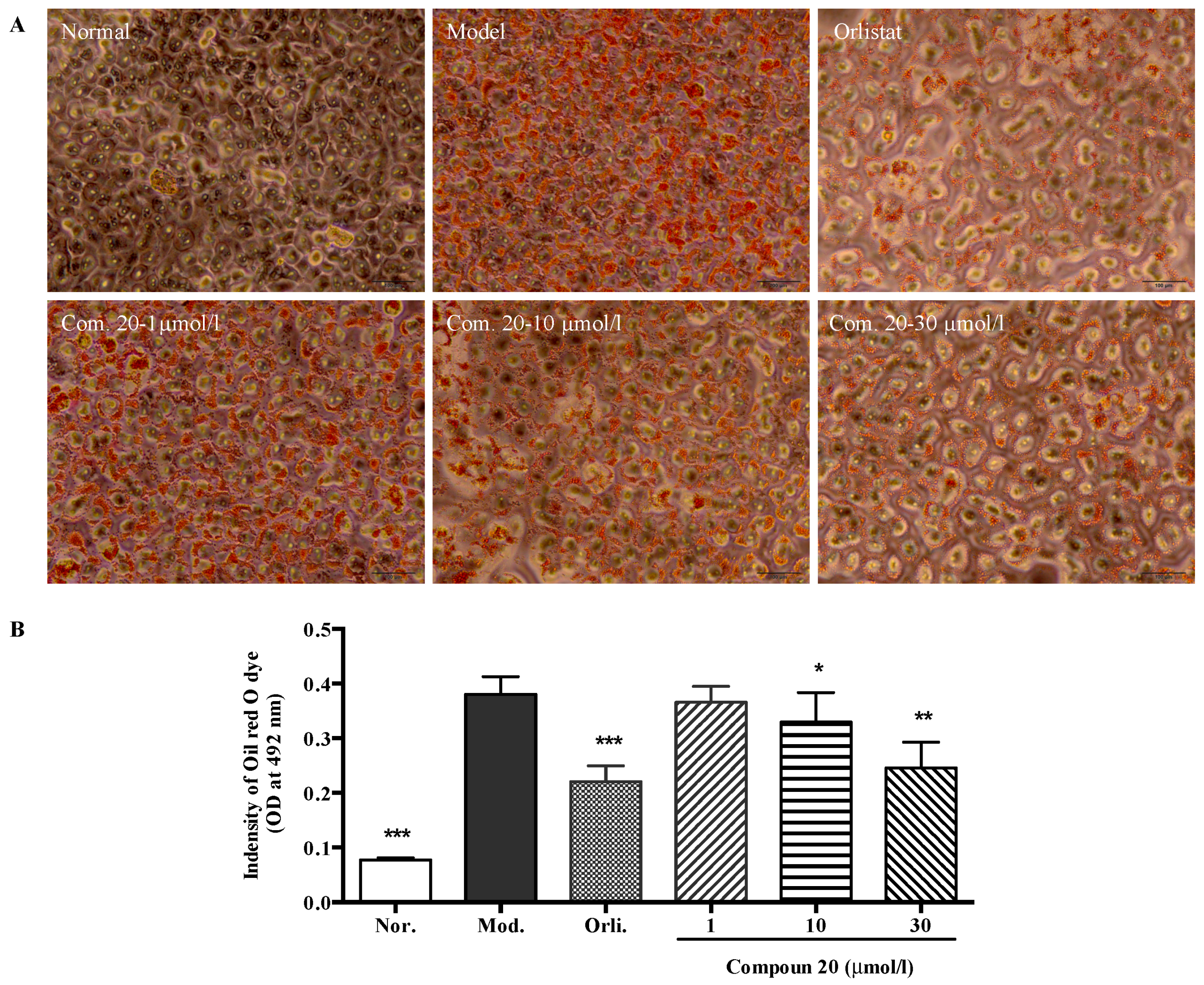 Molecules 22 00110 g007