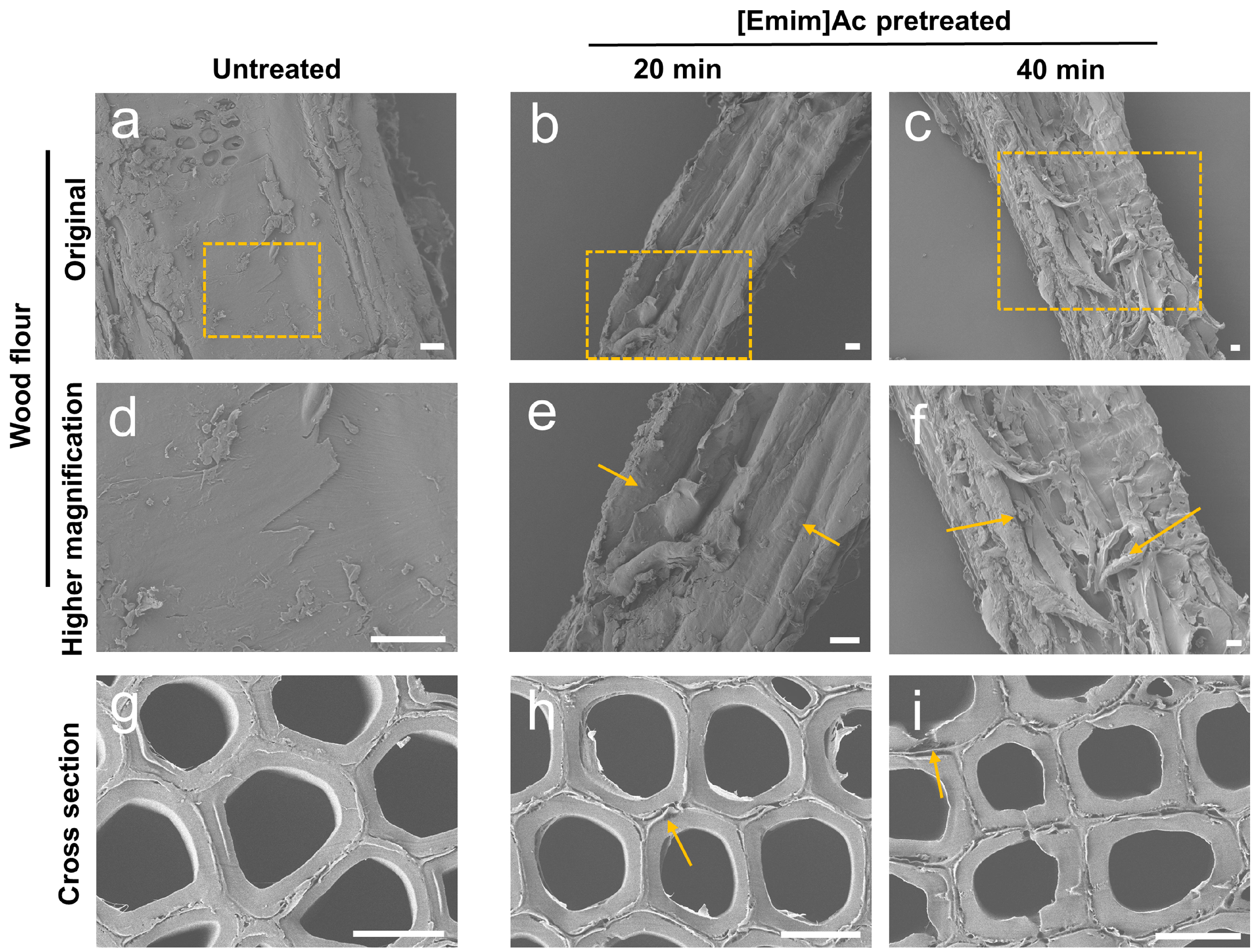 Molecules 22 00115 g004