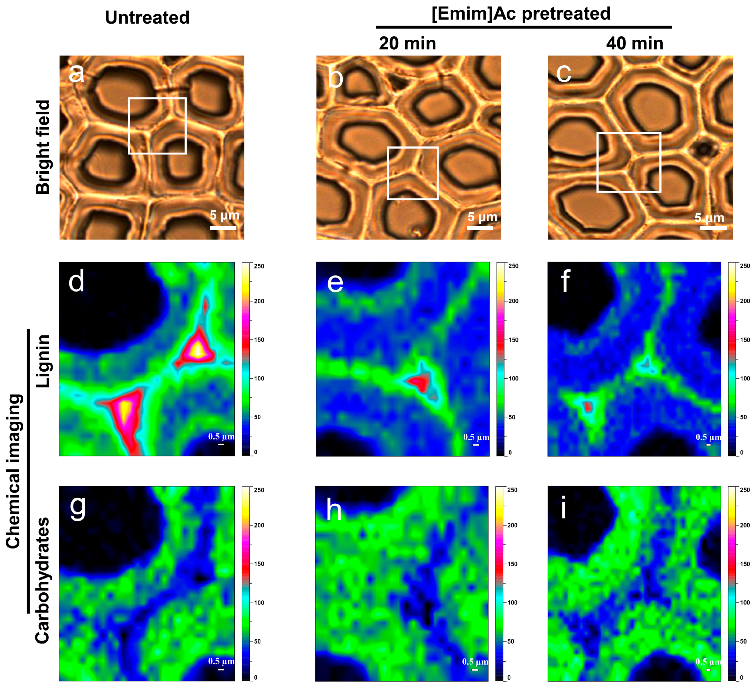 Molecules 22 00115 g007