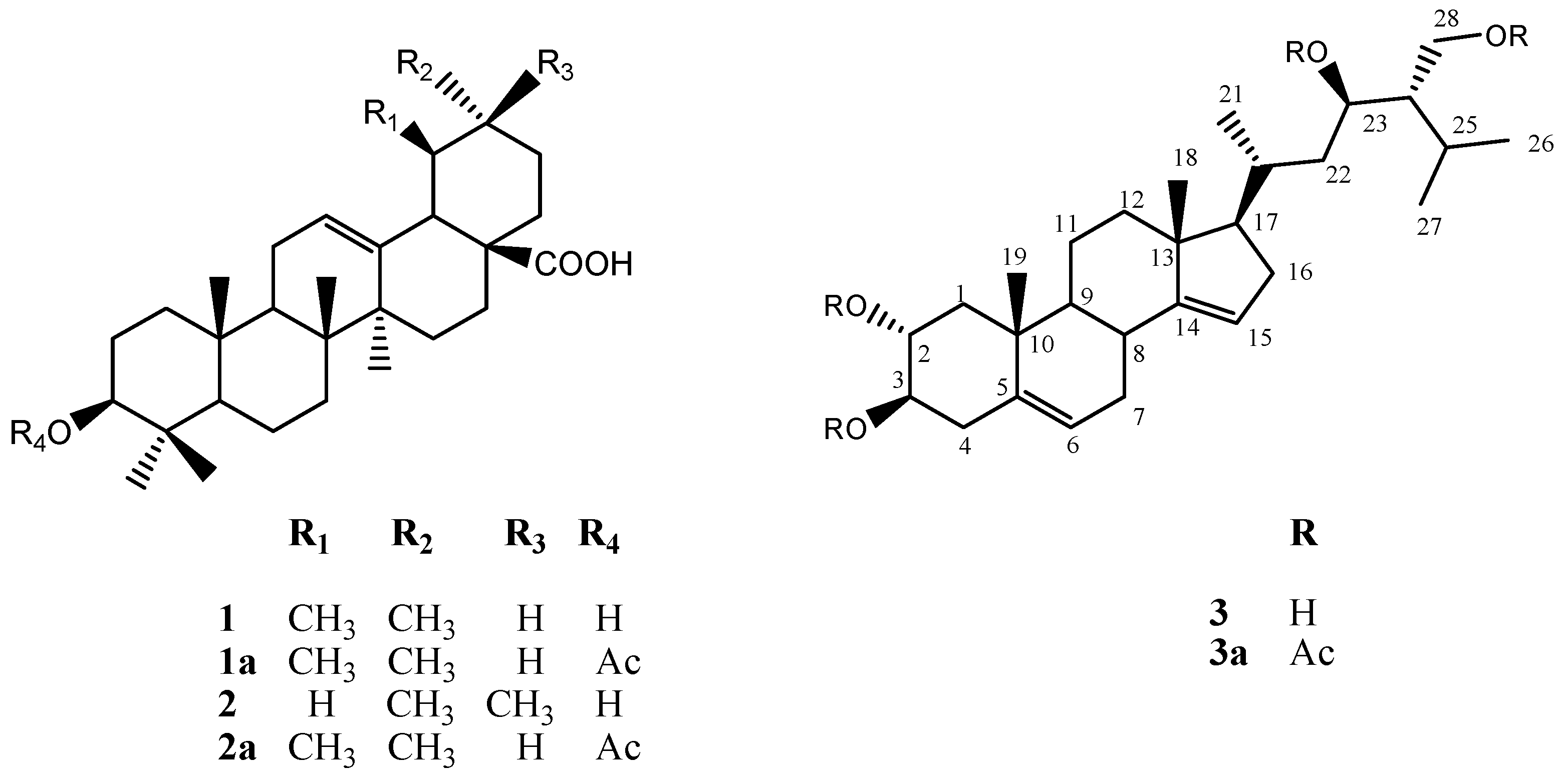 Molecules 22 00118 g004