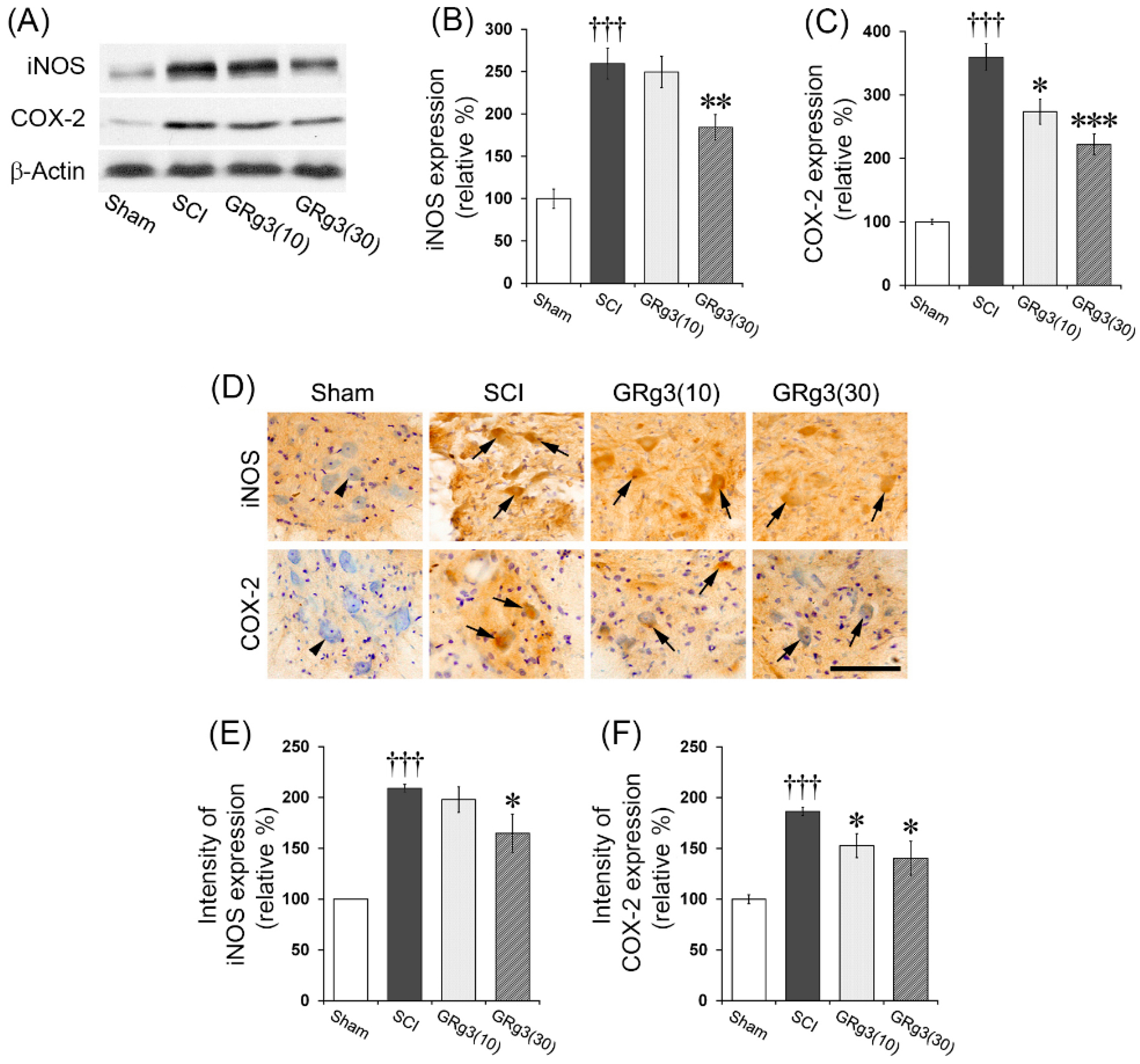 Molecules 22 00122 g006