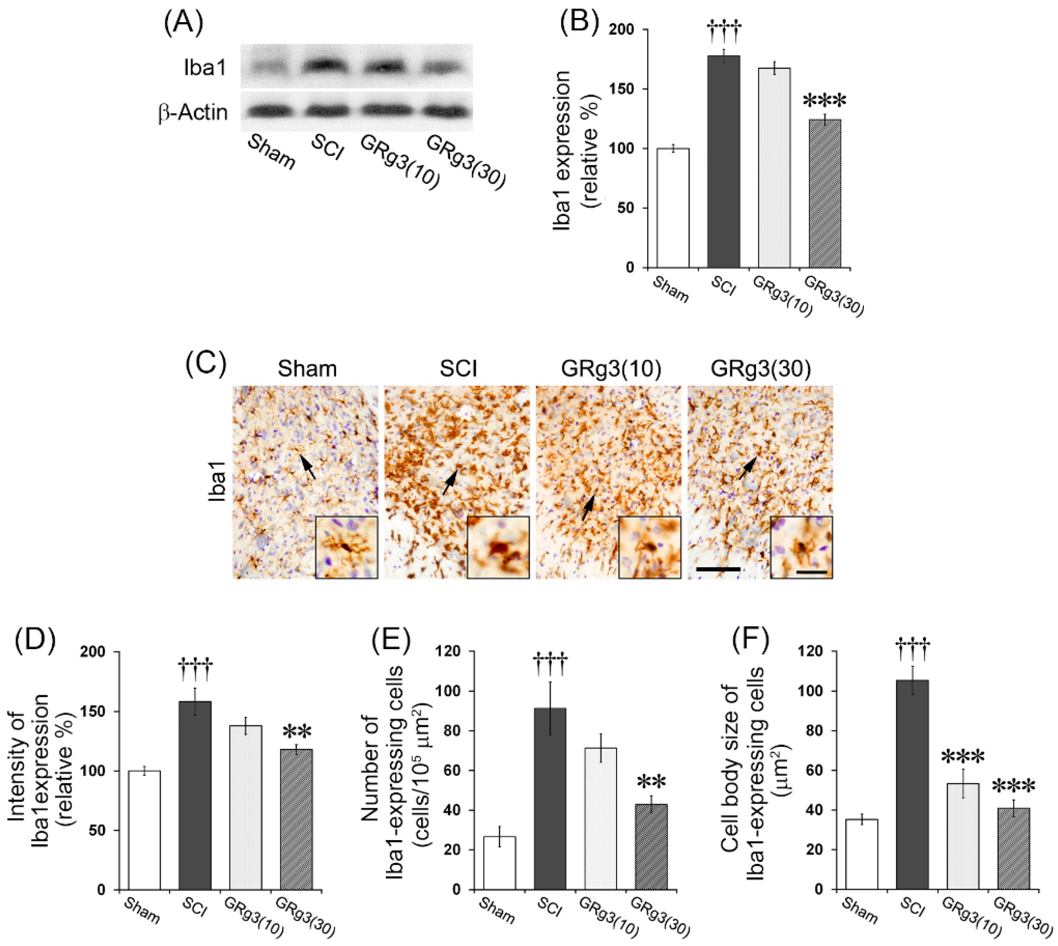 Molecules 22 00122 g007