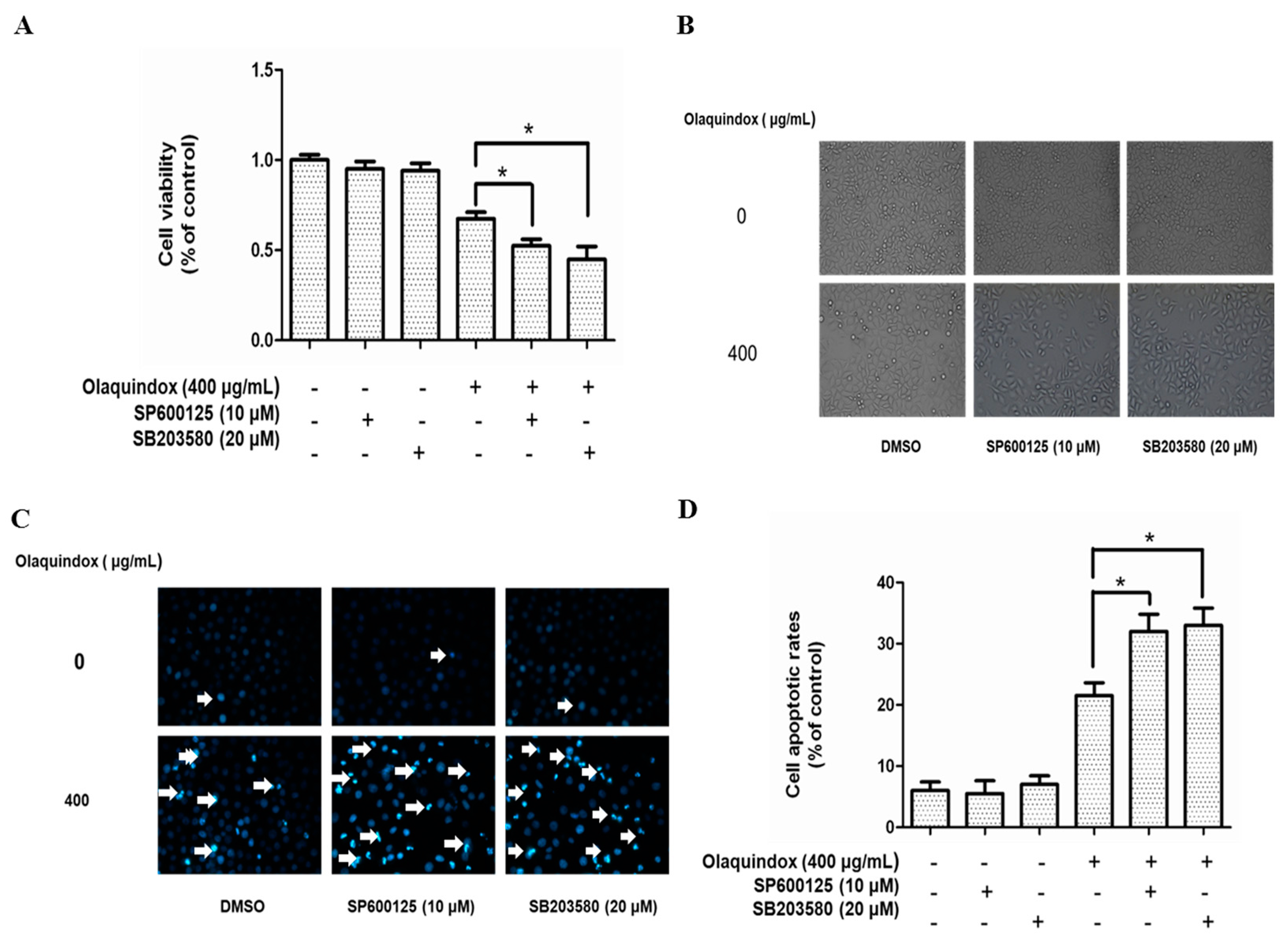 Molecules 22 00124 g009