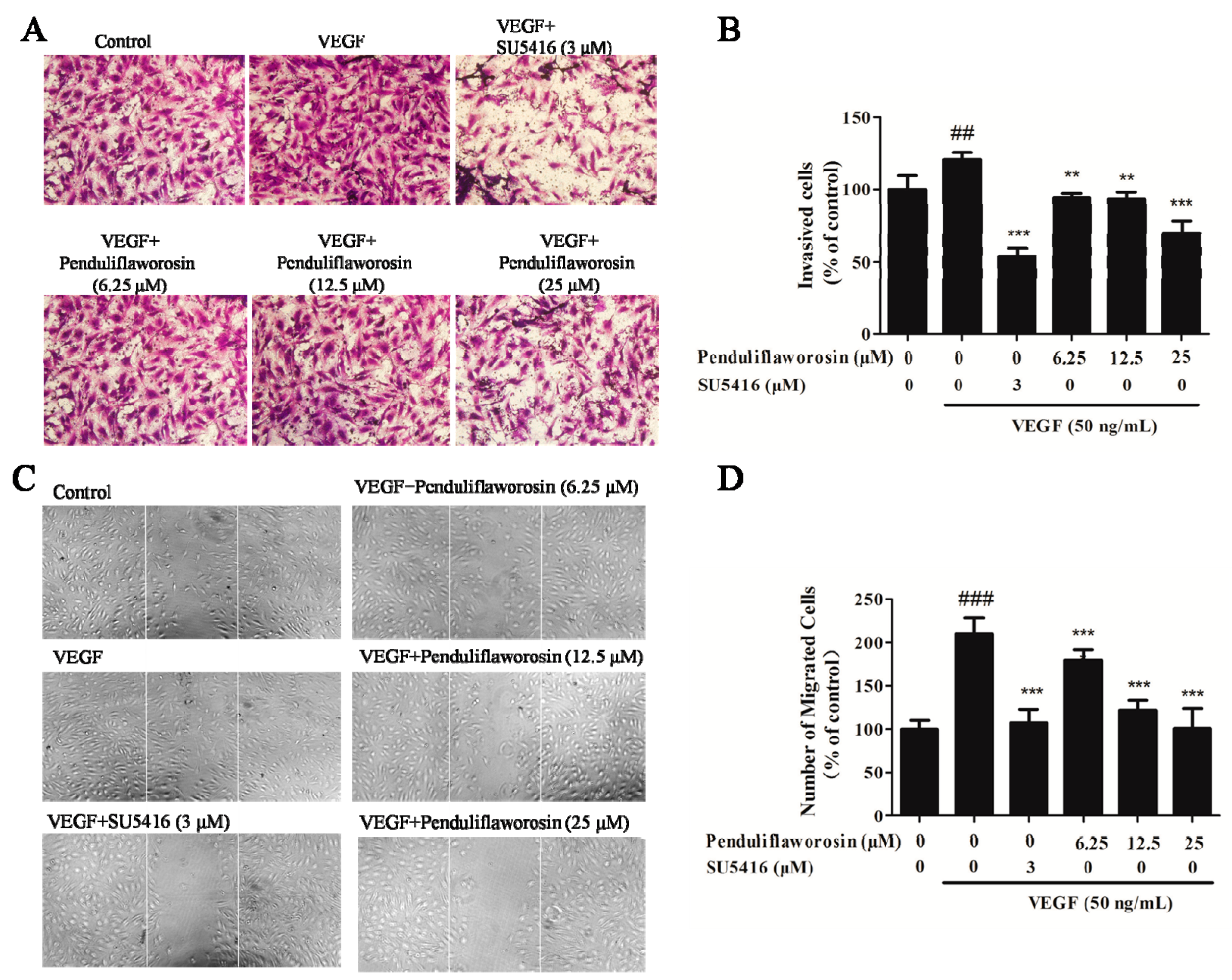 Molecules 22 00126 g002