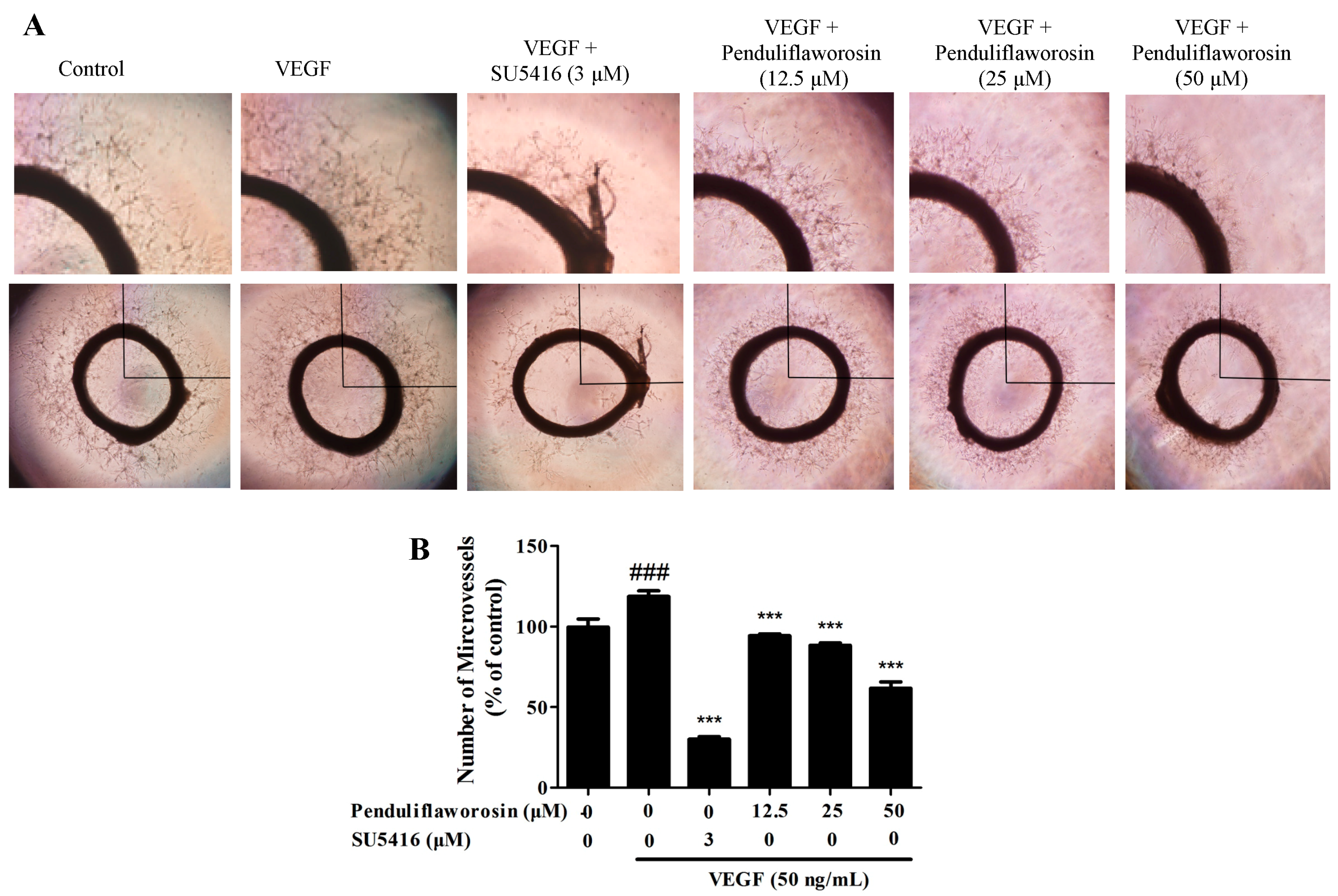 Molecules 22 00126 g004
