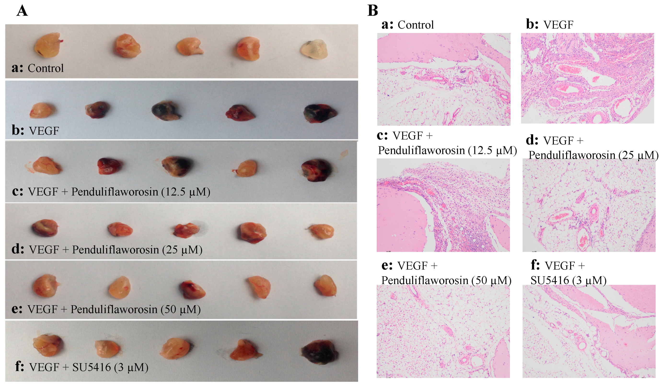 Molecules 22 00126 g005