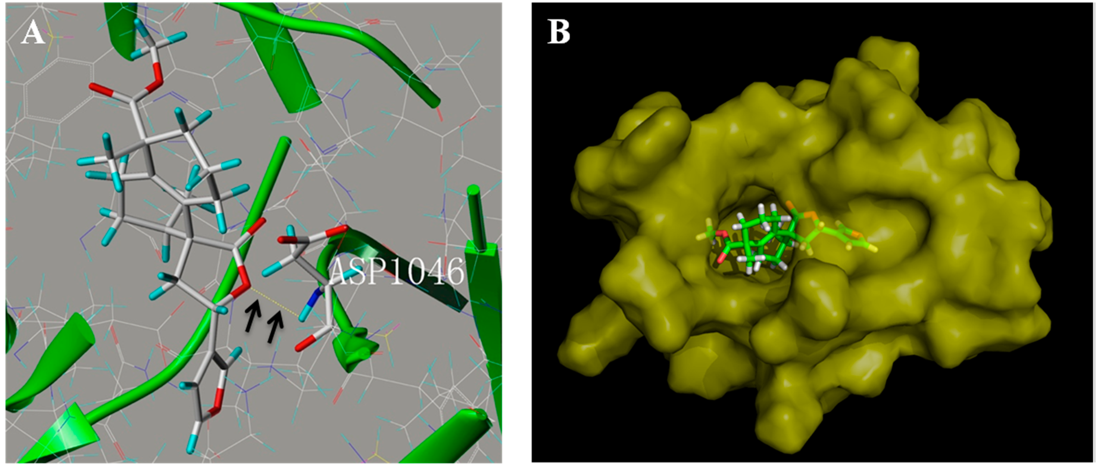Molecules 22 00126 g007