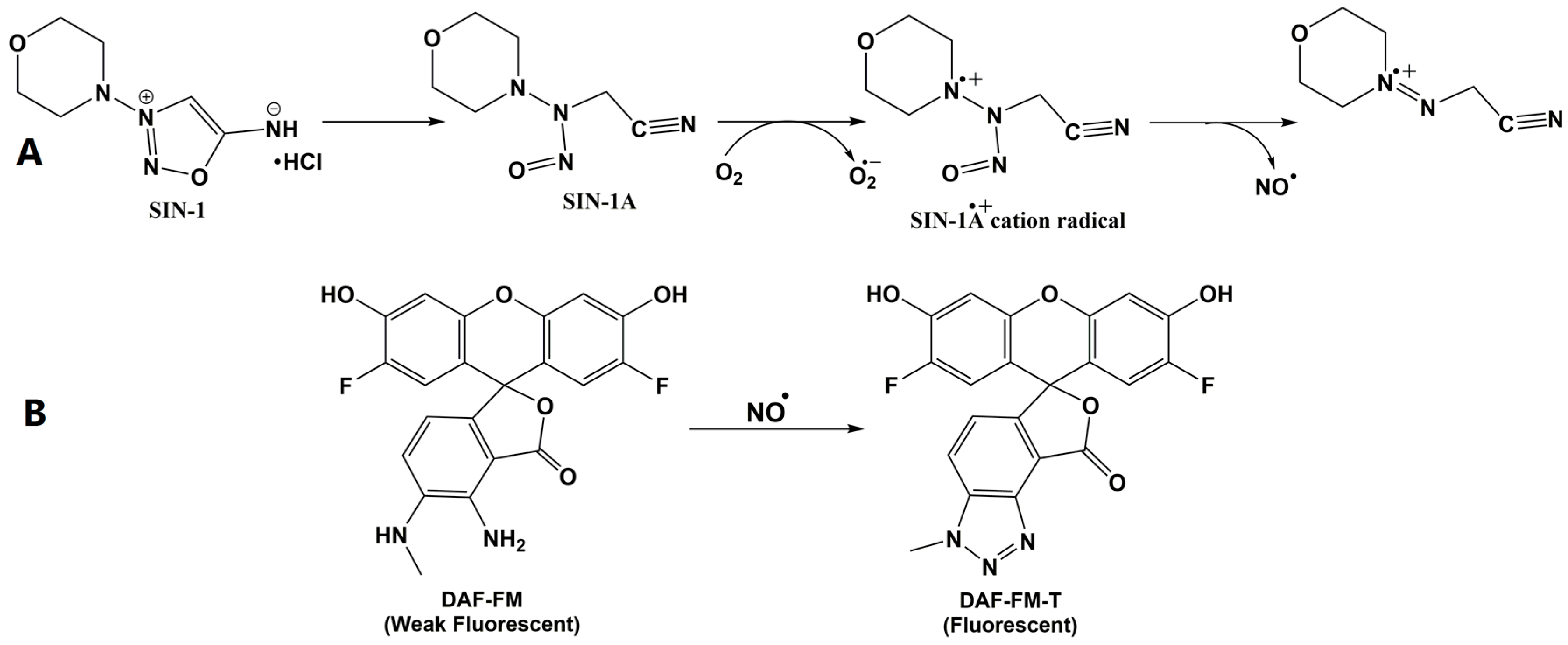 Molecules 22 00127 g001