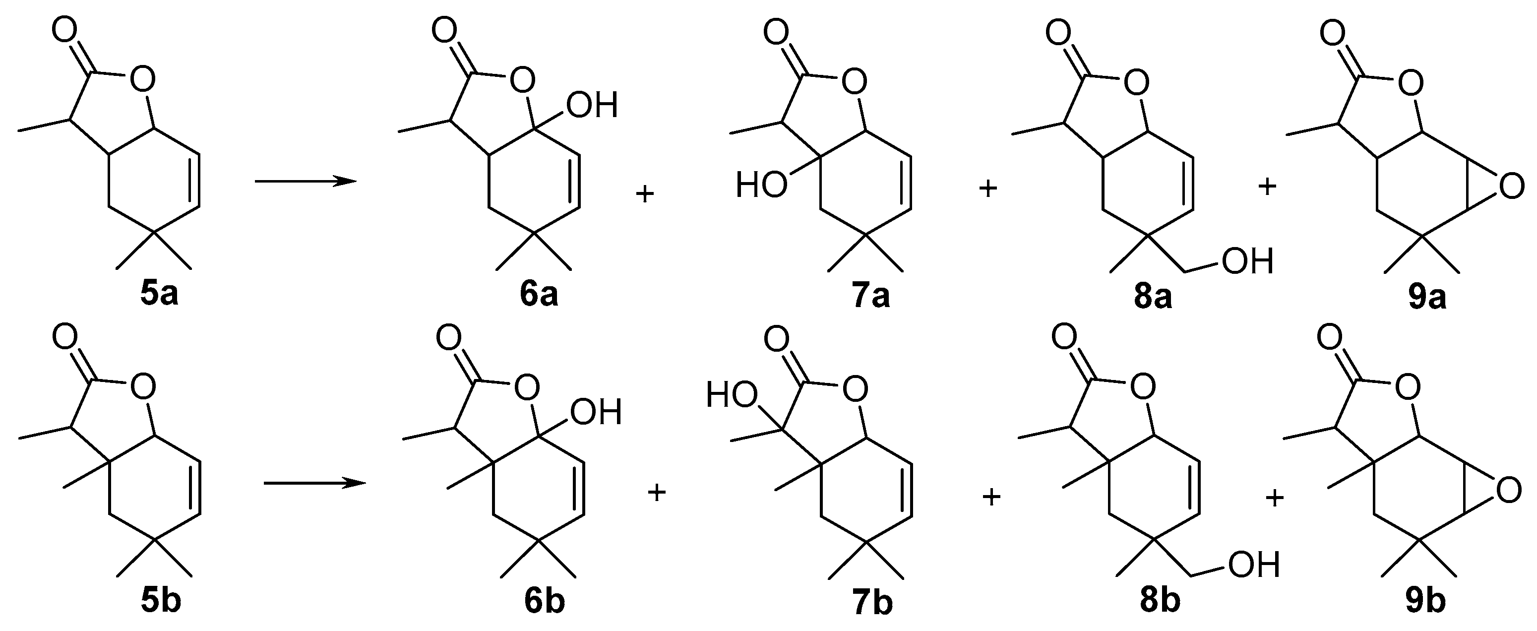 Molecules 22 00147 sch002