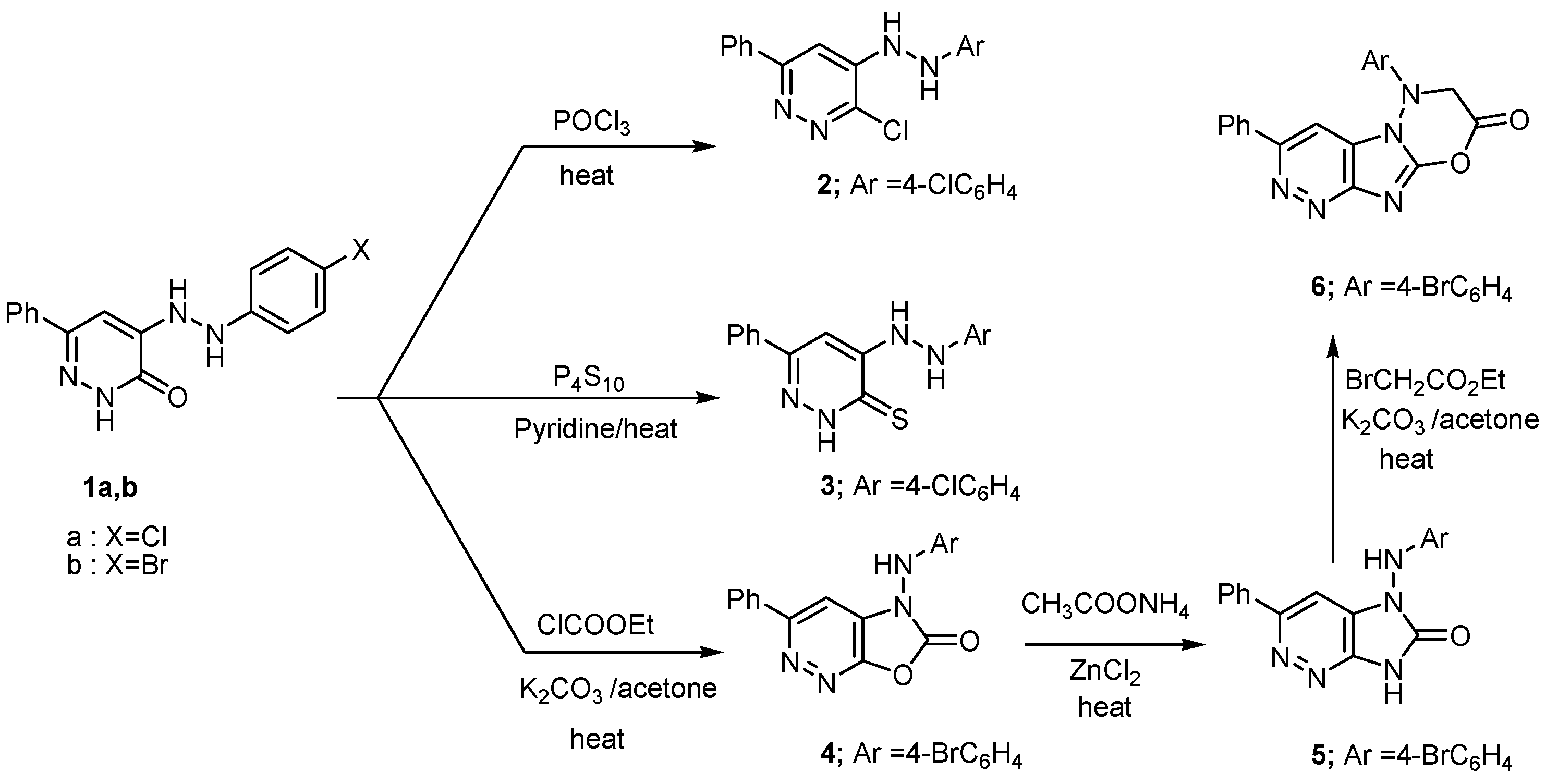 Molecules 22 00148 sch001